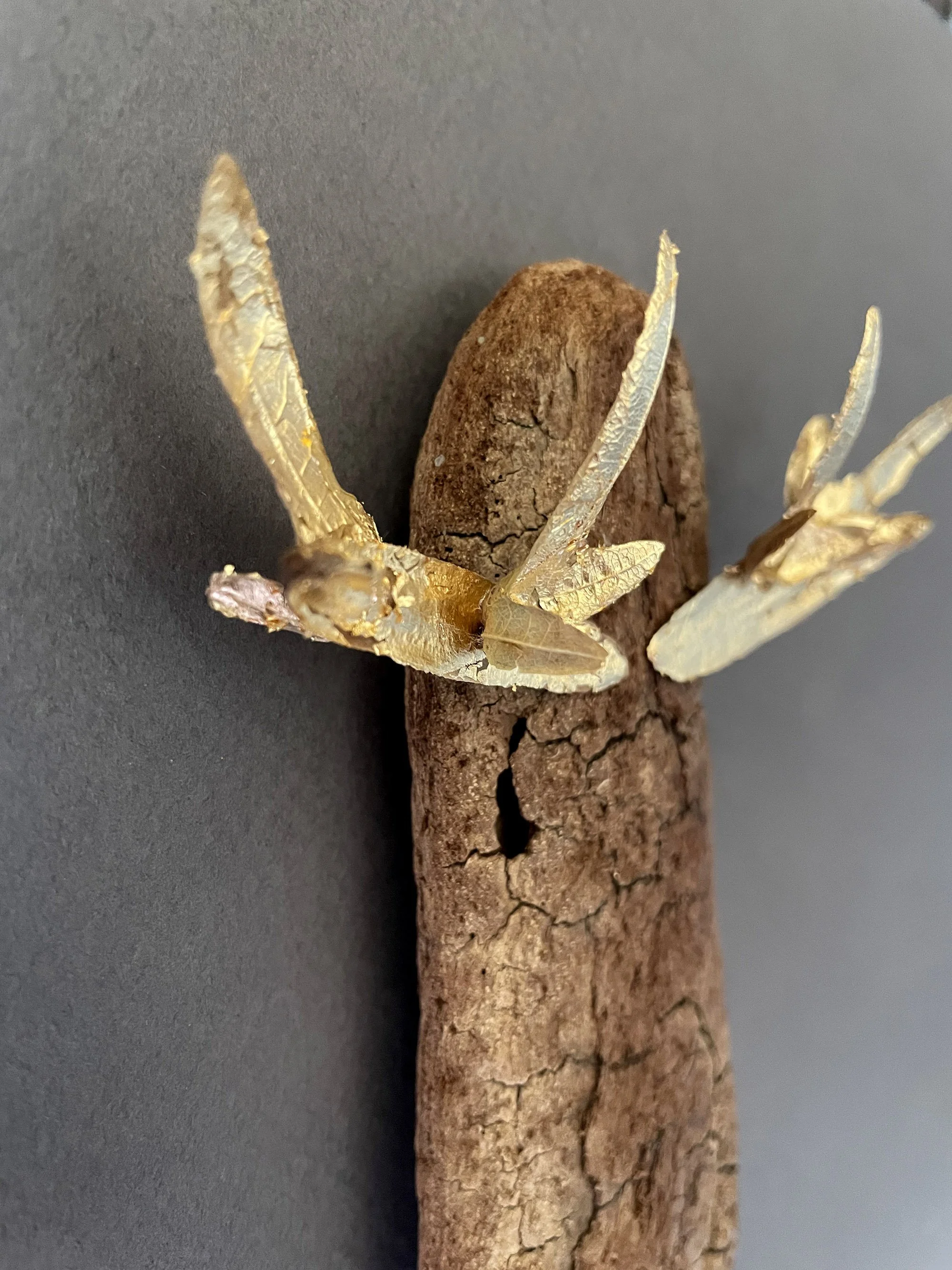 creaturquoise_art_doré_bois_flotté_or_ramure_feuillage_couronne.jpg