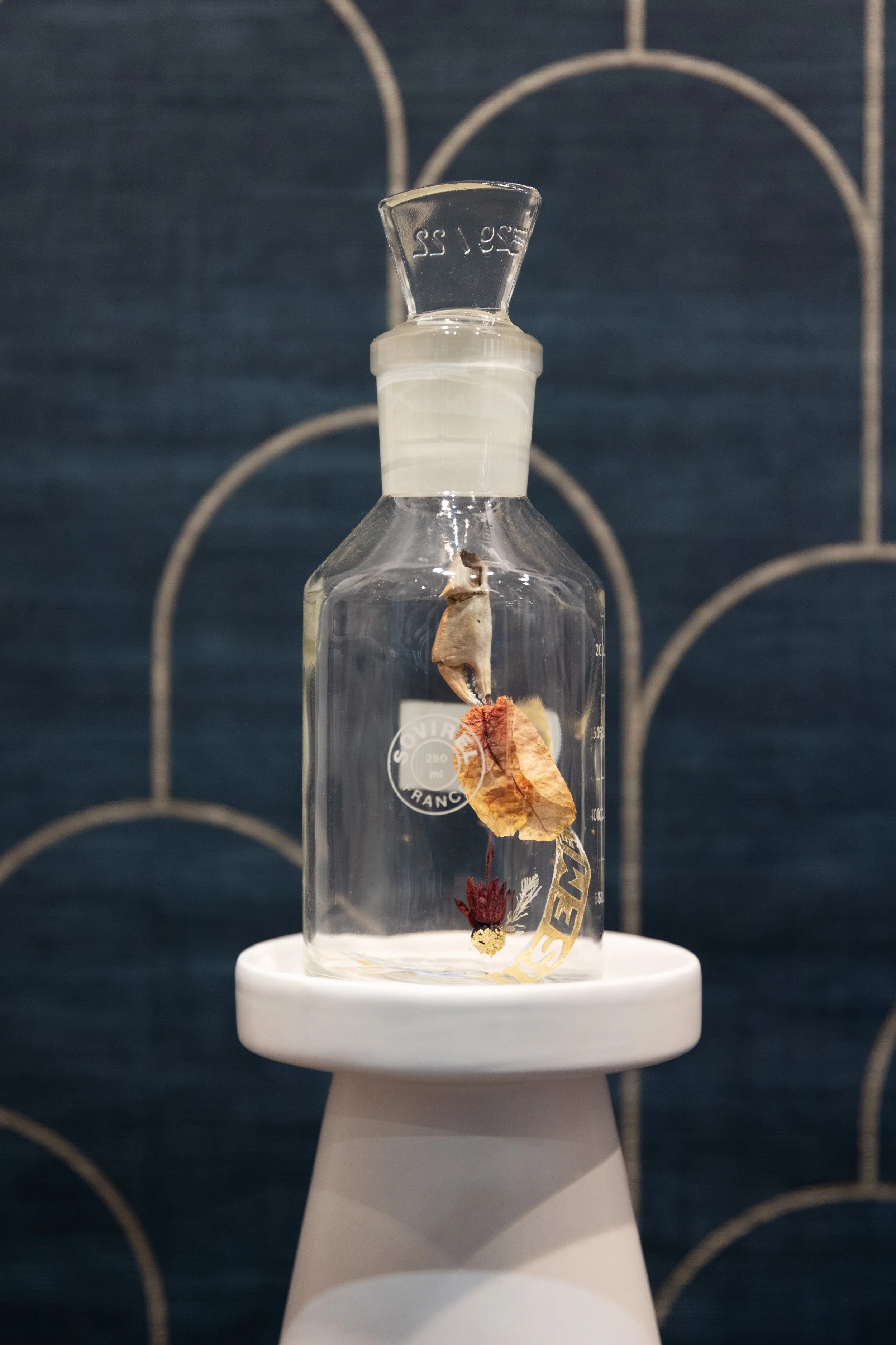 Création dans une fiole de laboratoire