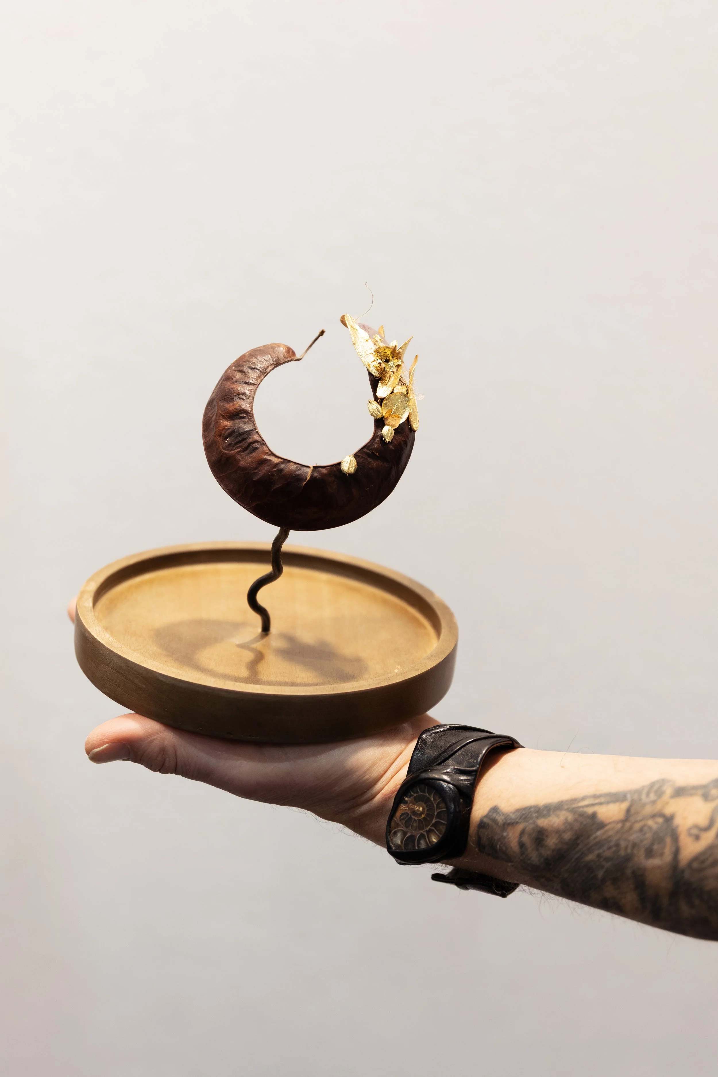 Pièce unique de végétal doré