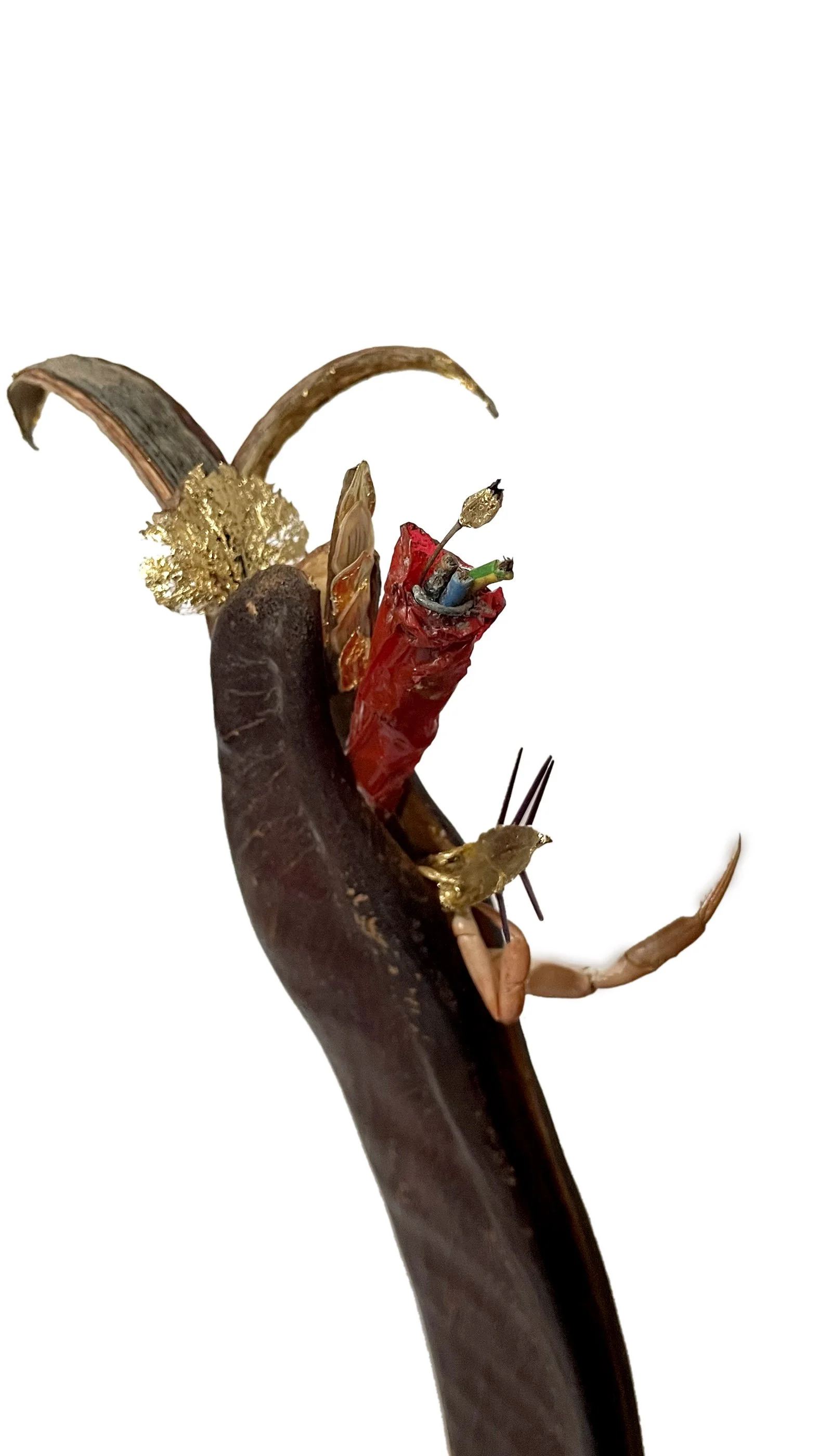 Germination_1_creaturquoise_65x10_detail.jpg