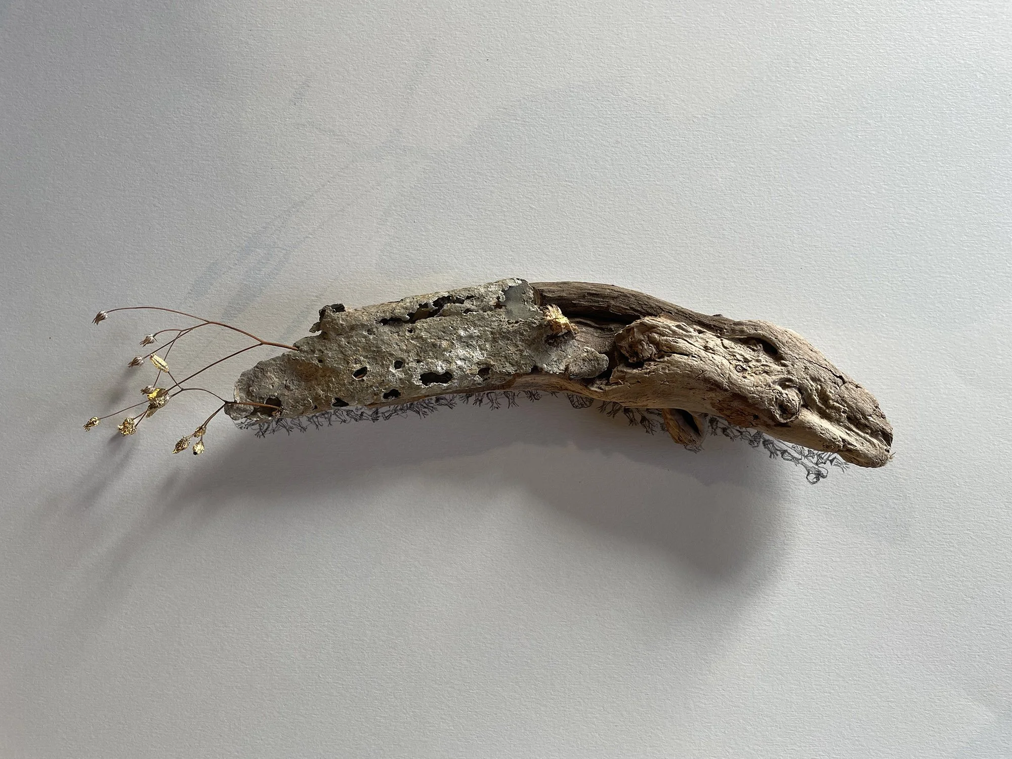creaturquoise_or_fragment_bois_résine_flotté_graminée.jpg