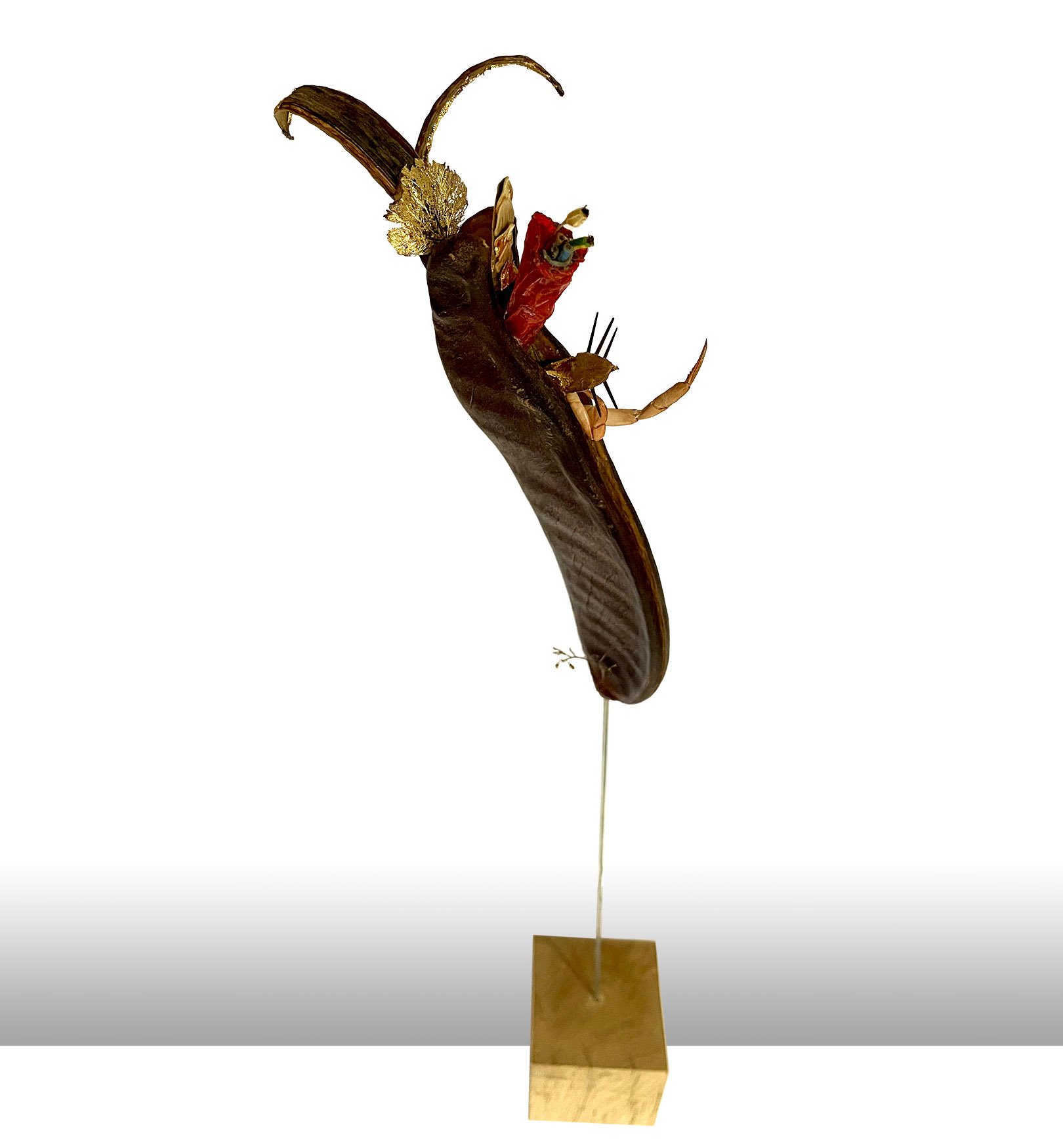 Germination_1_creaturquoise_caroube_or_laurier_65x10.jpg