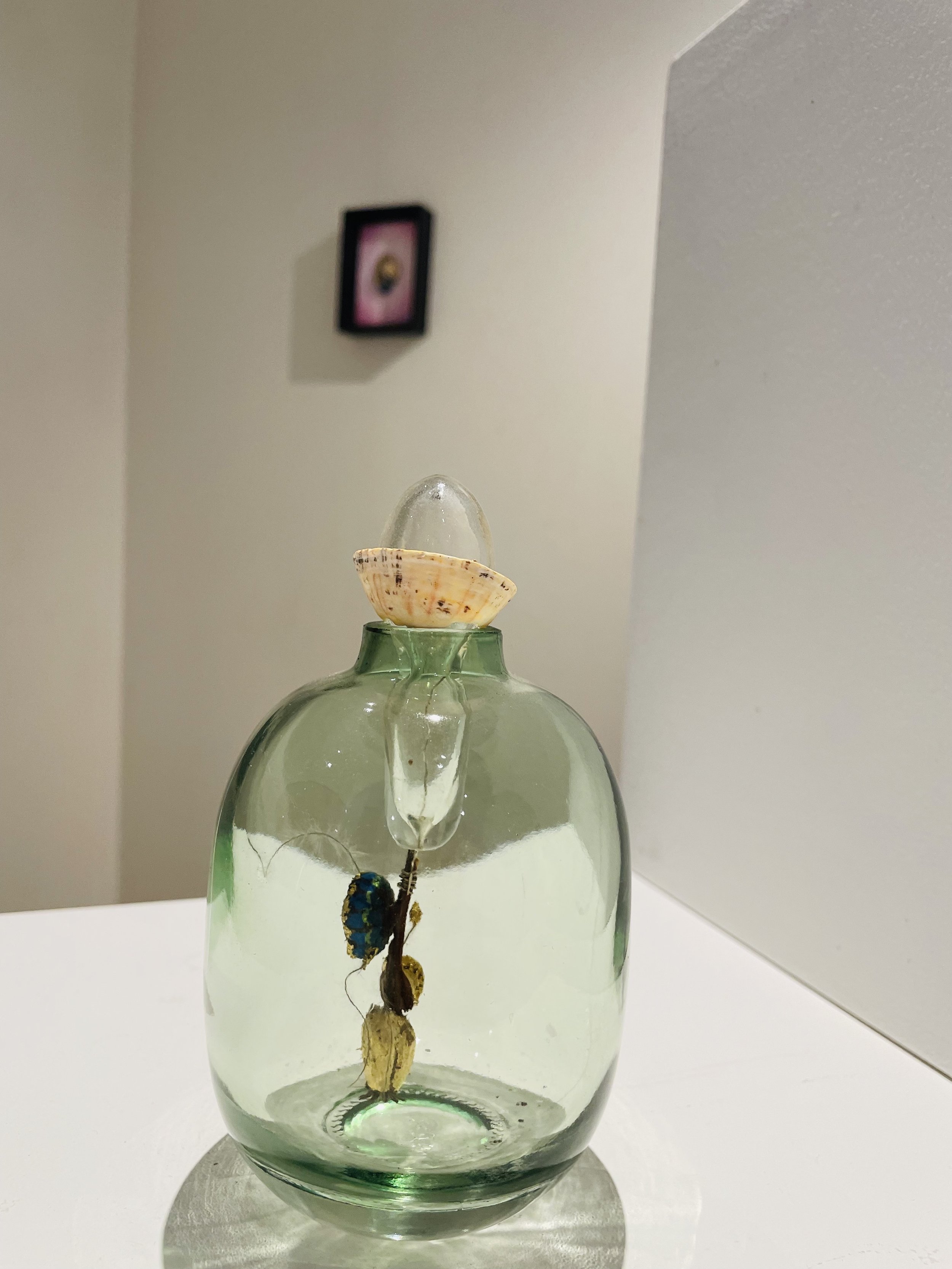 creaturquoise_or_carafe_verre_chêne_bernique_bleu_escargot_transparent.jpg