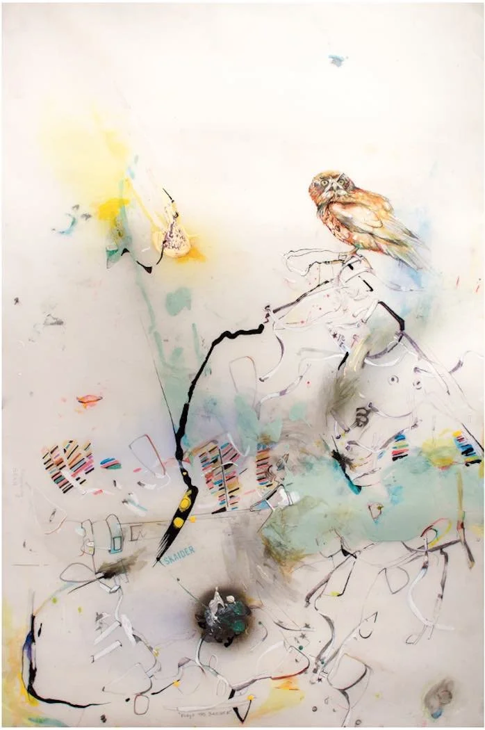Ann Blaas