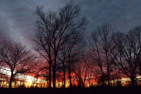 Mark McClane & John Dorsey