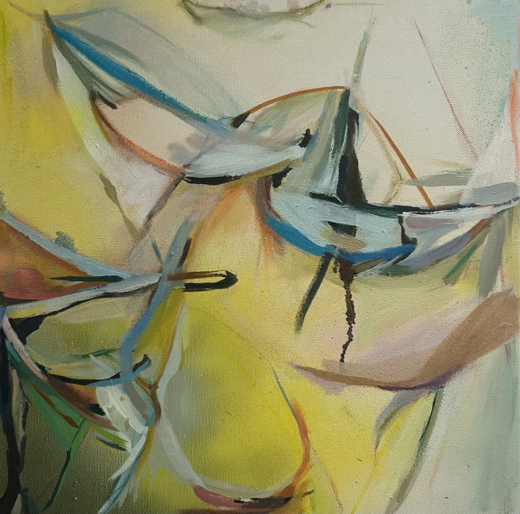 Single Mission, Ann Blaas