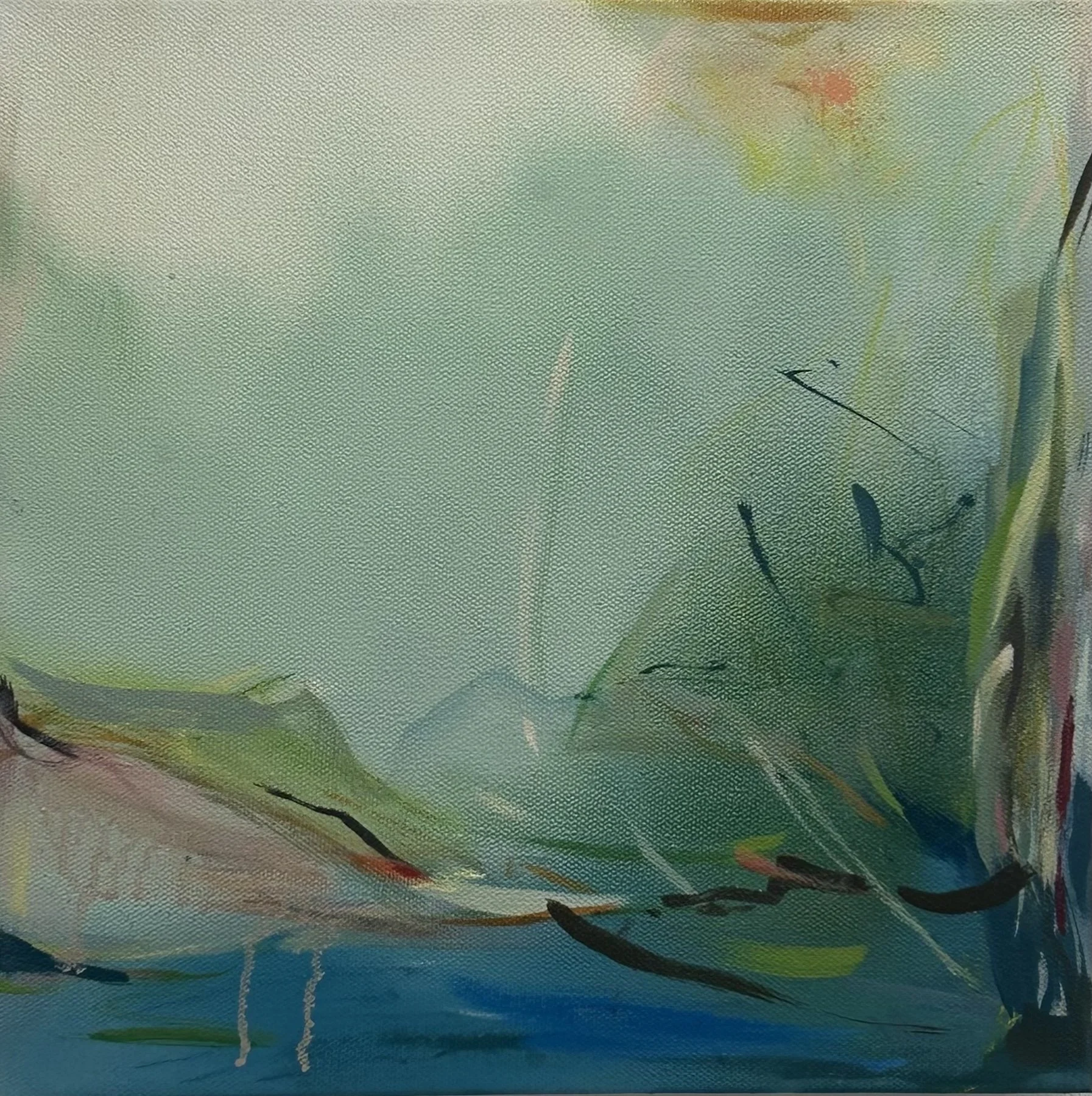 Covert Horizon, Ann Blaas