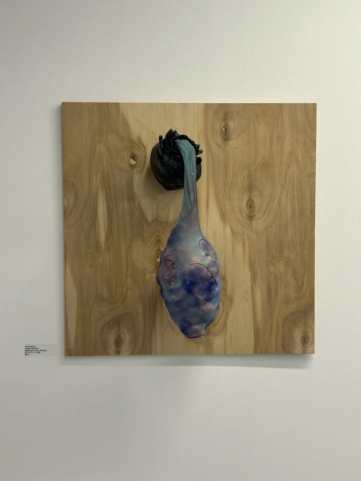 Cicada Chrysalis, $450