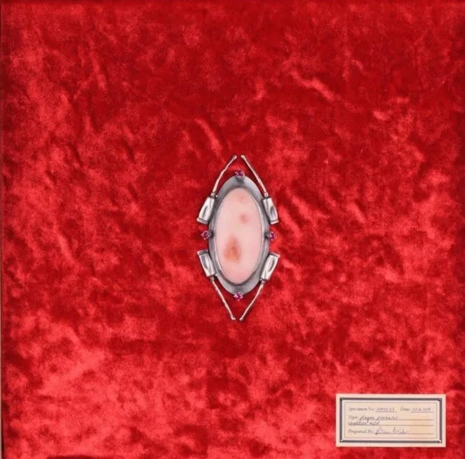 DONOVAN WIDMER 3