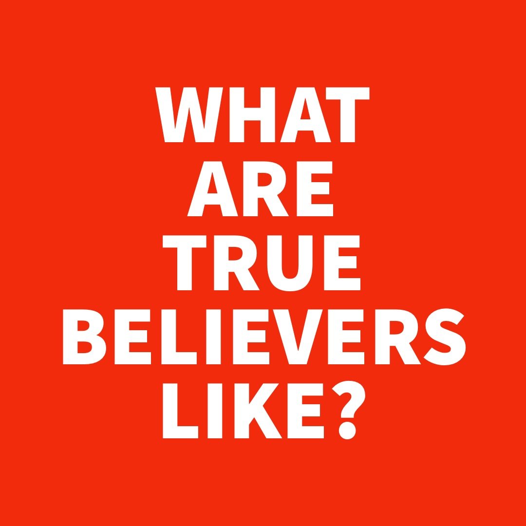 What are True Believers Like.jpg