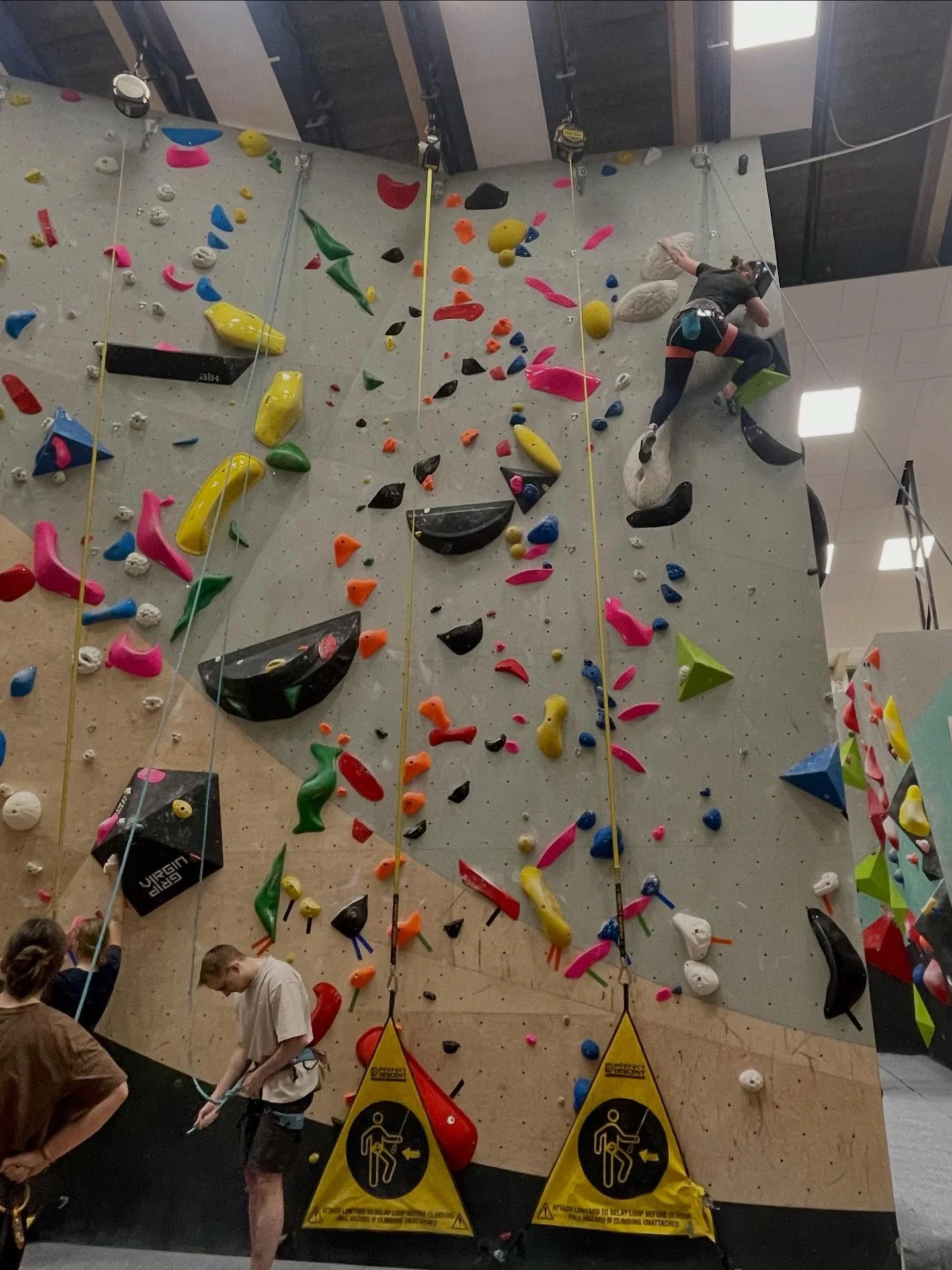 13 nya pangleder OCH alla autobelayer är tillbaka 🥳