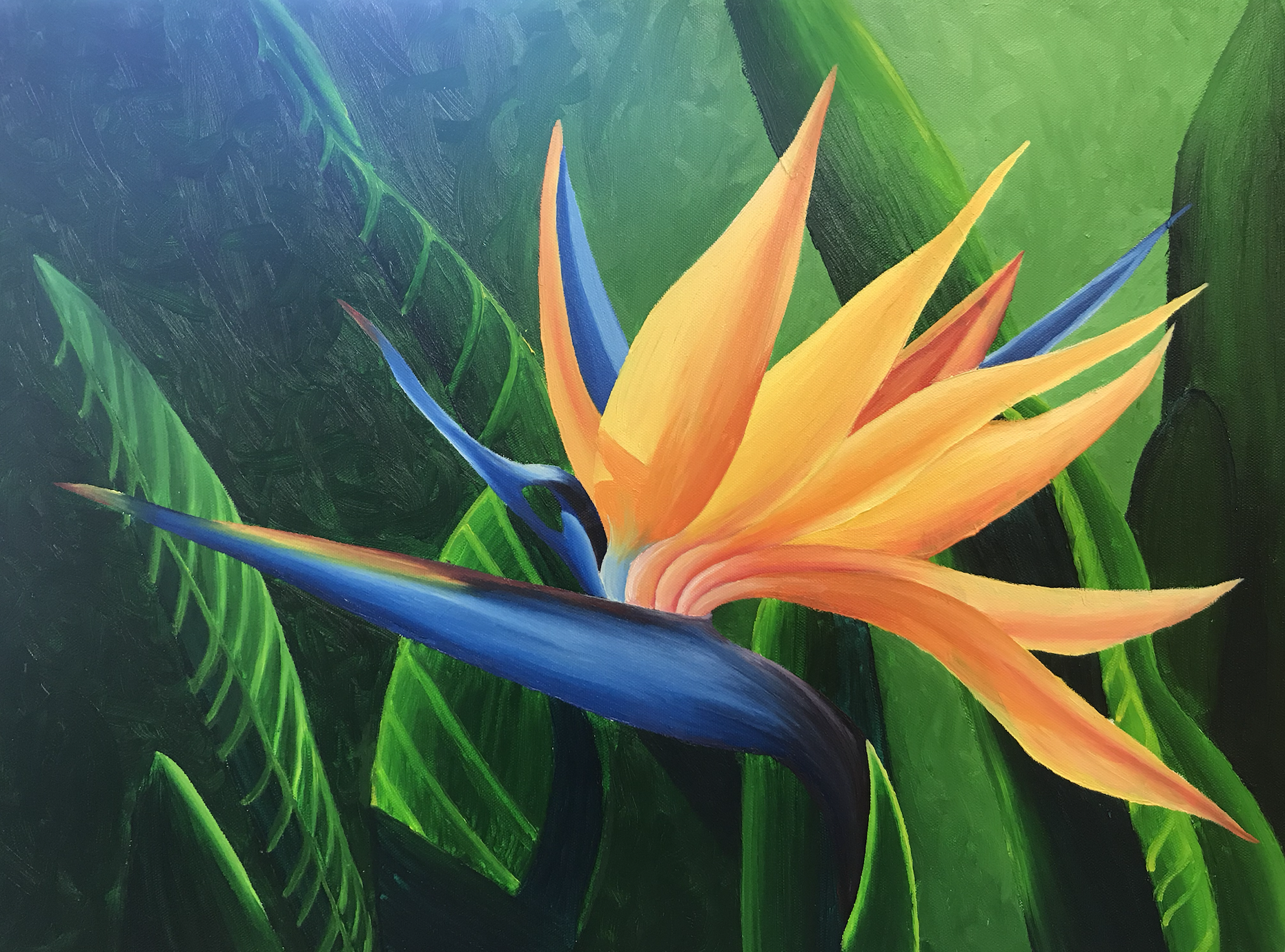 Screenshot 2023-01-12 at 6.26.36 PM.png