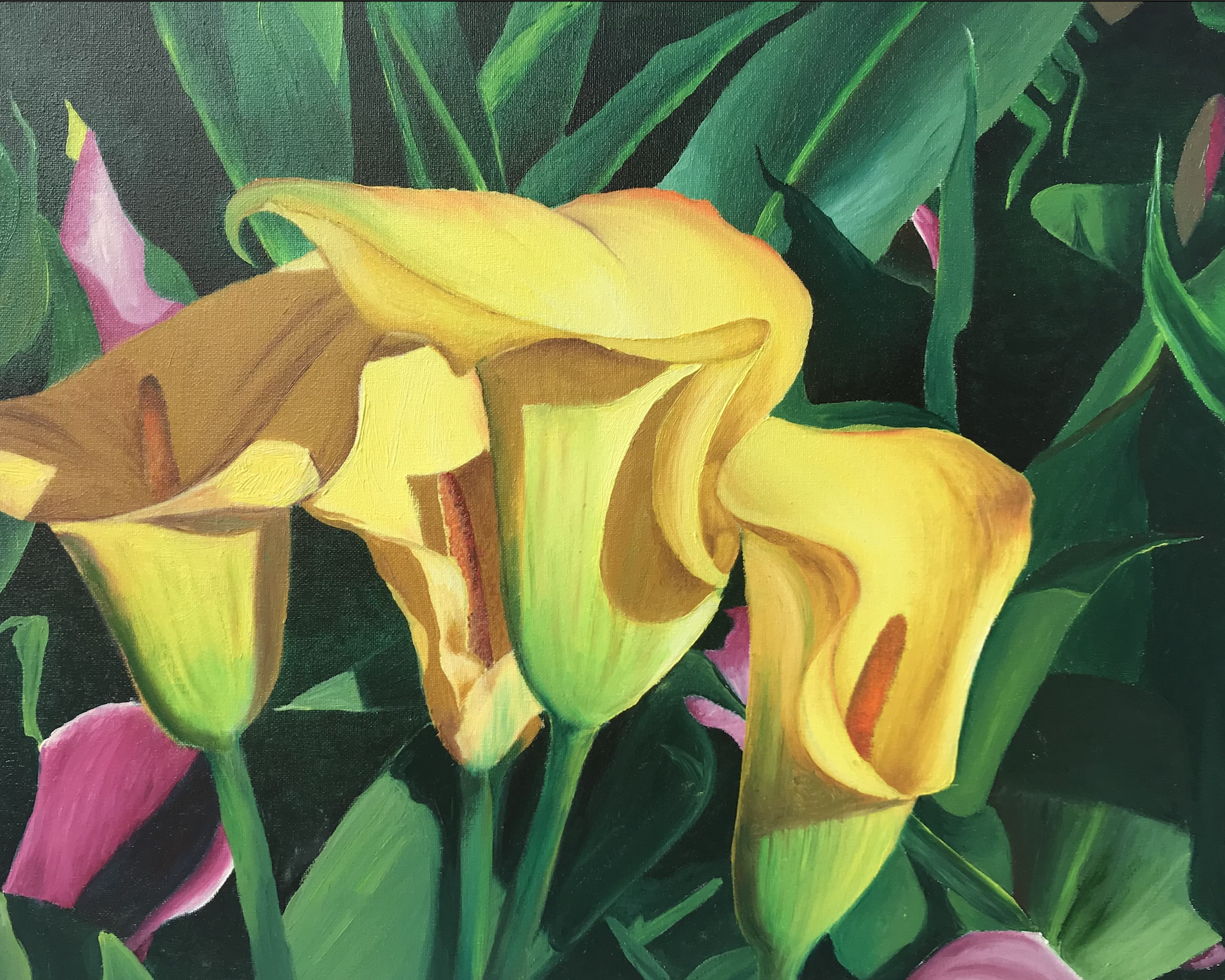 Screenshot 2023-01-12 at 6.25.48 PM.png