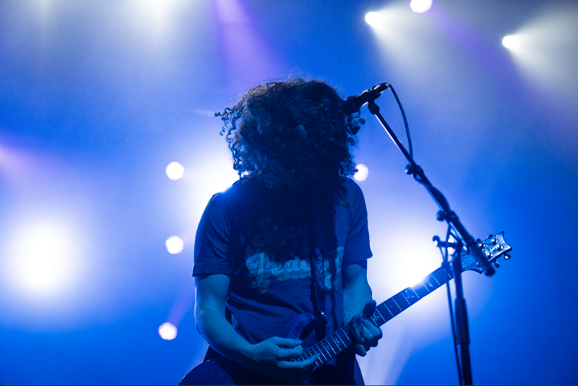 PIGEONS PLAYING PING PONG