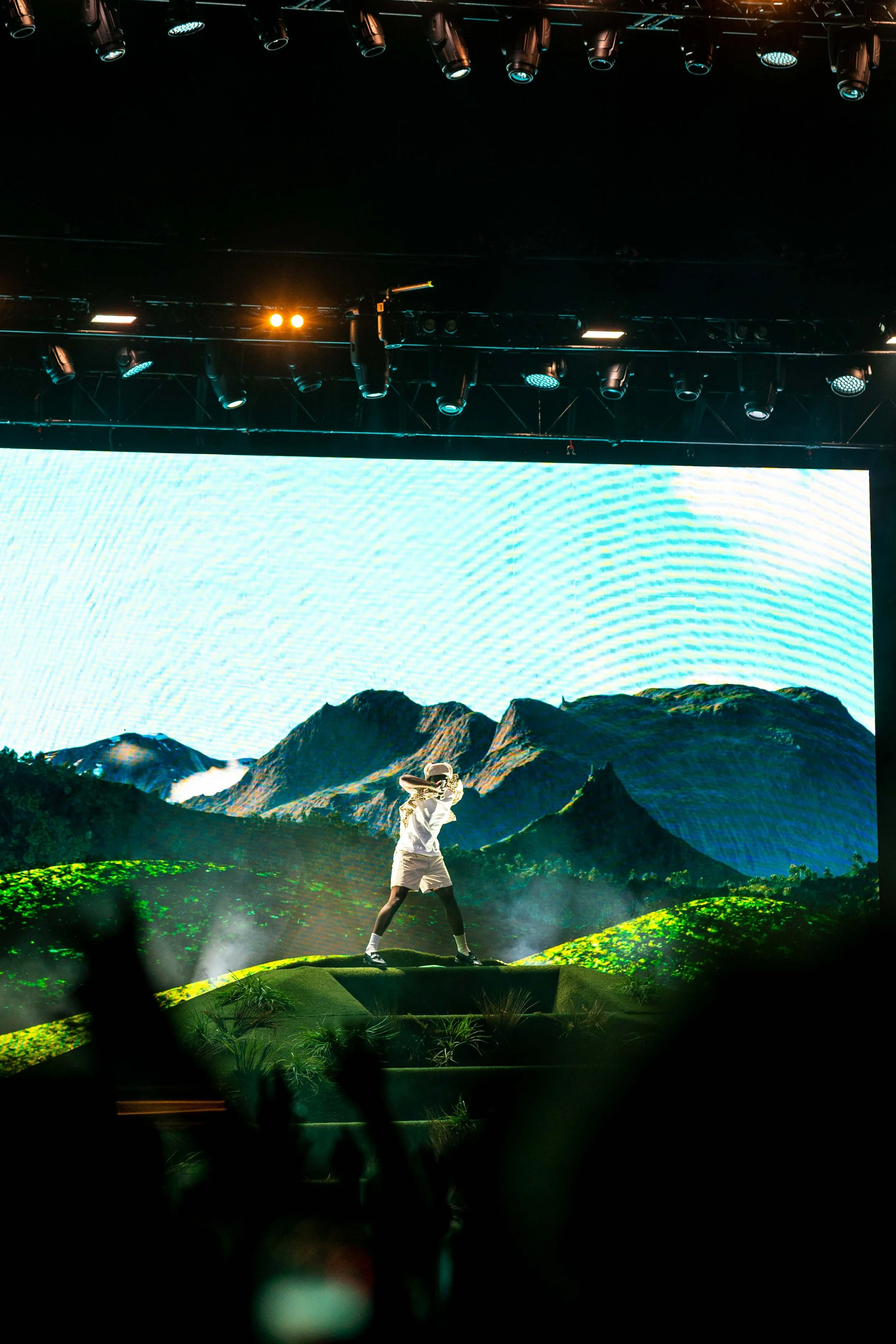 Tyler, The Creator