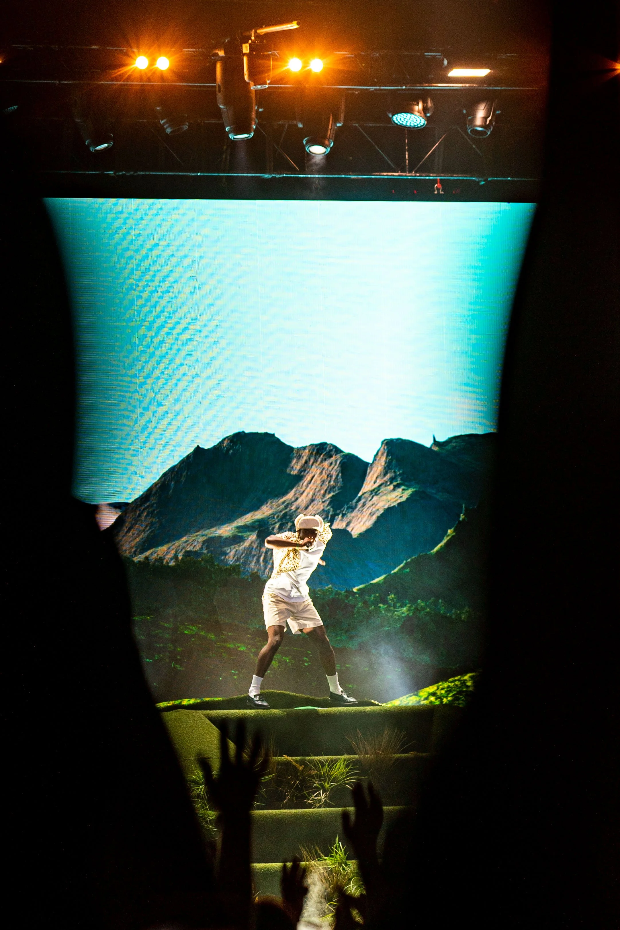 Tyler, The Creator