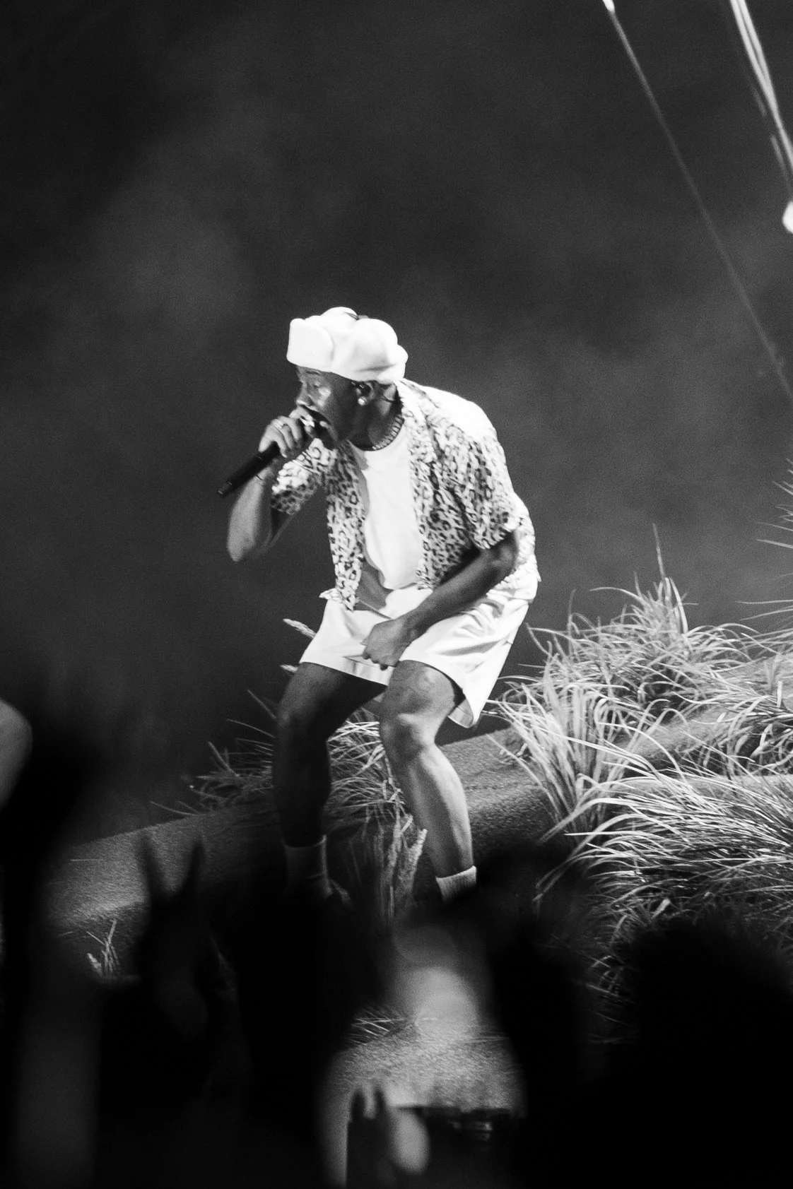 Tyler, The Creator