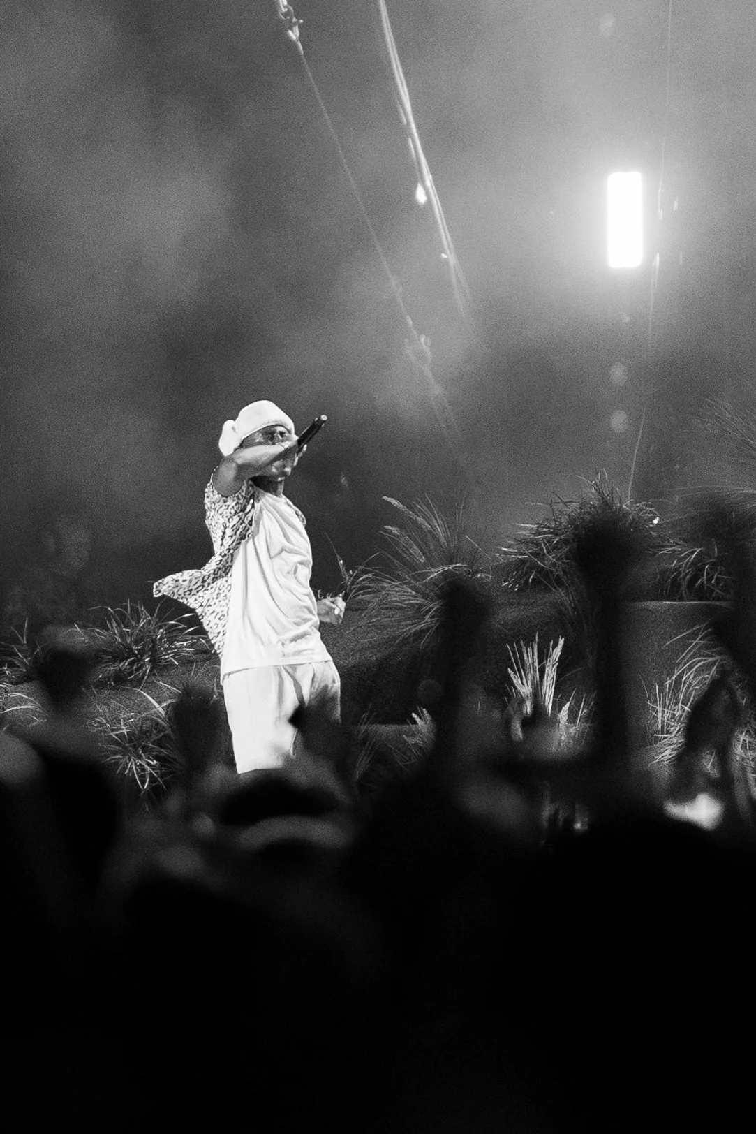 Tyler, The Creator