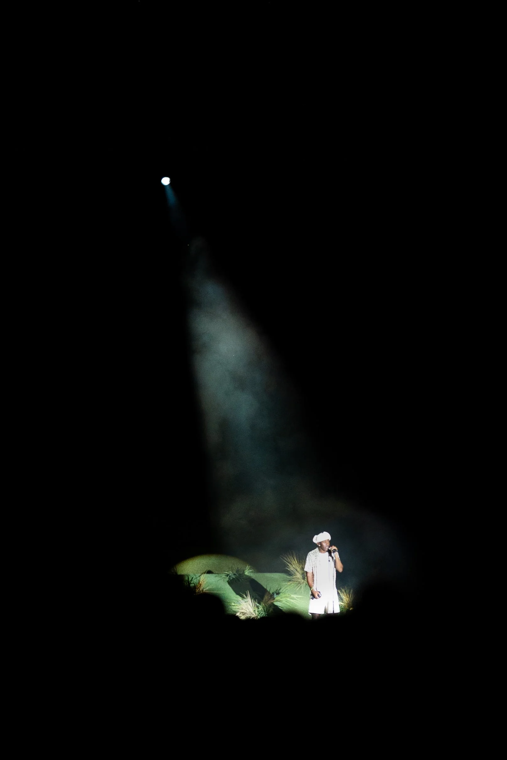 Tyler, The Creator