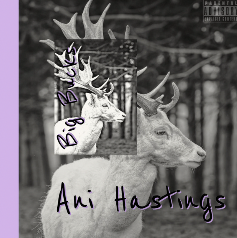 Ani Hastings RELEASES "Big Bucks"