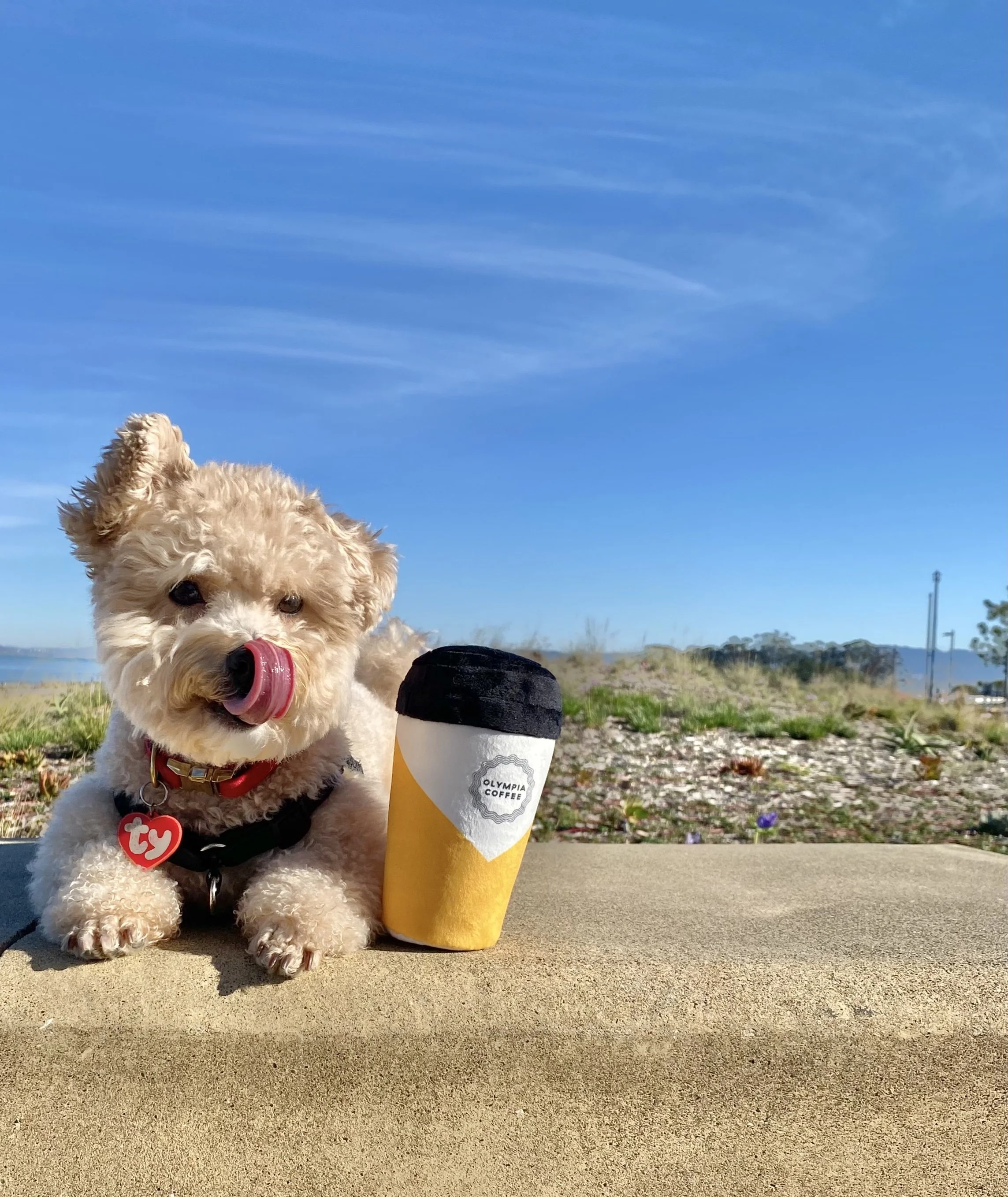 Goodboi Custom Pet Toys