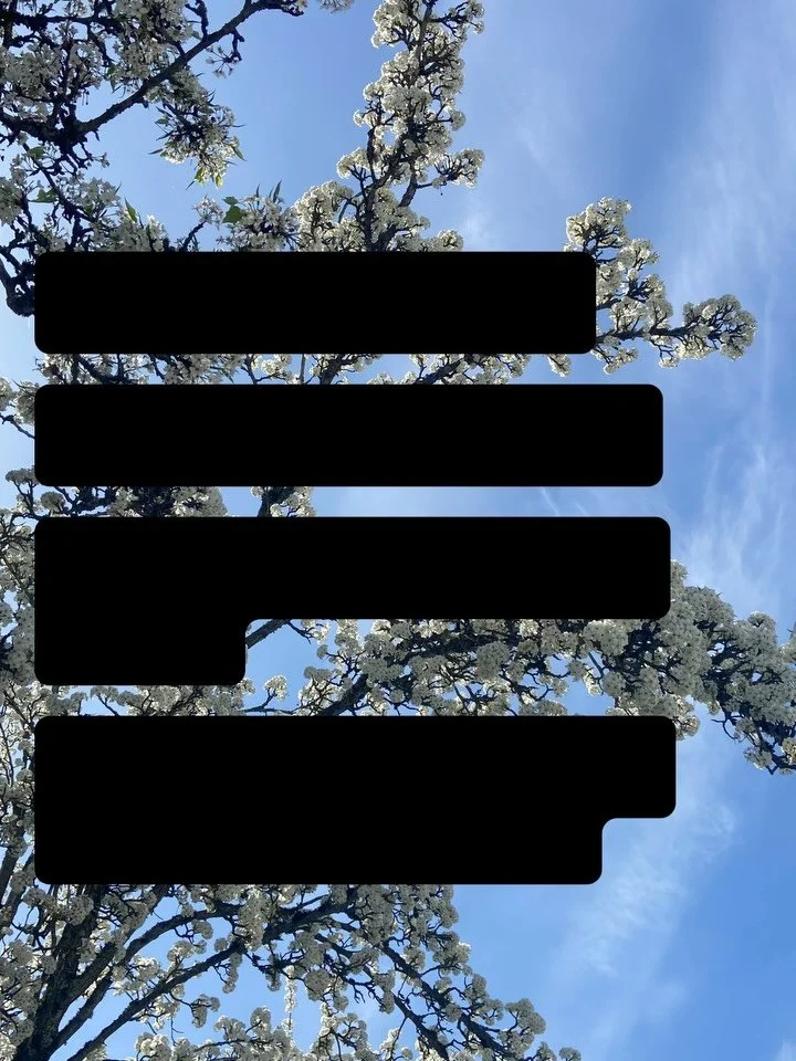 We have 3 events coming up! 
📚Book club next Tuesday April 14 (Zoom) 
🪩 workshop planning party on April 20 (at the library)
🤓 Speak Up at Schools workshop on May 4th (Carnegie)

RSVP + more details on our website: https://snohomishforequity.org/h