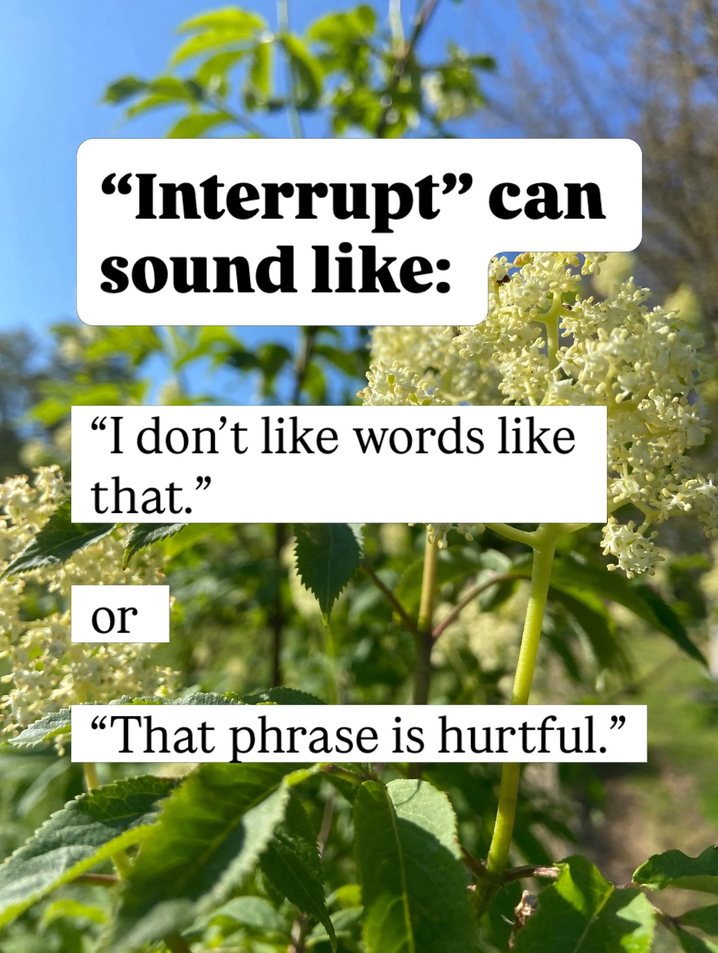 Curious what the strategies we will teach at the Speak Up at School workshop might sound like? Here are examples! 

Join us at the workshop next Monday (May 4th) to learn and practice in community!