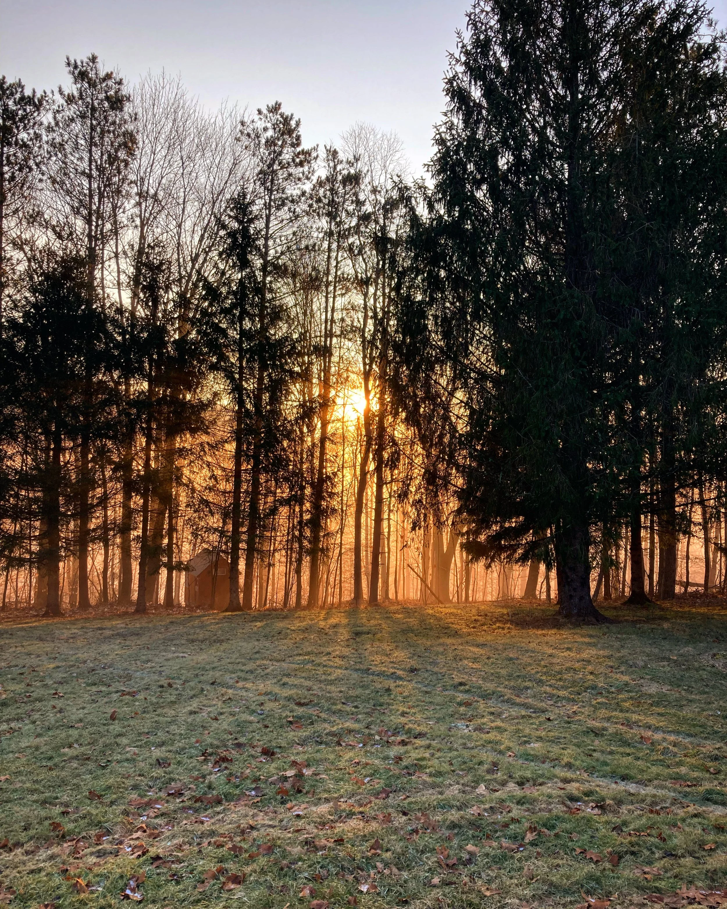 219DF815-7085-46B9-94E8-EDEAA8FE36AD.jpg