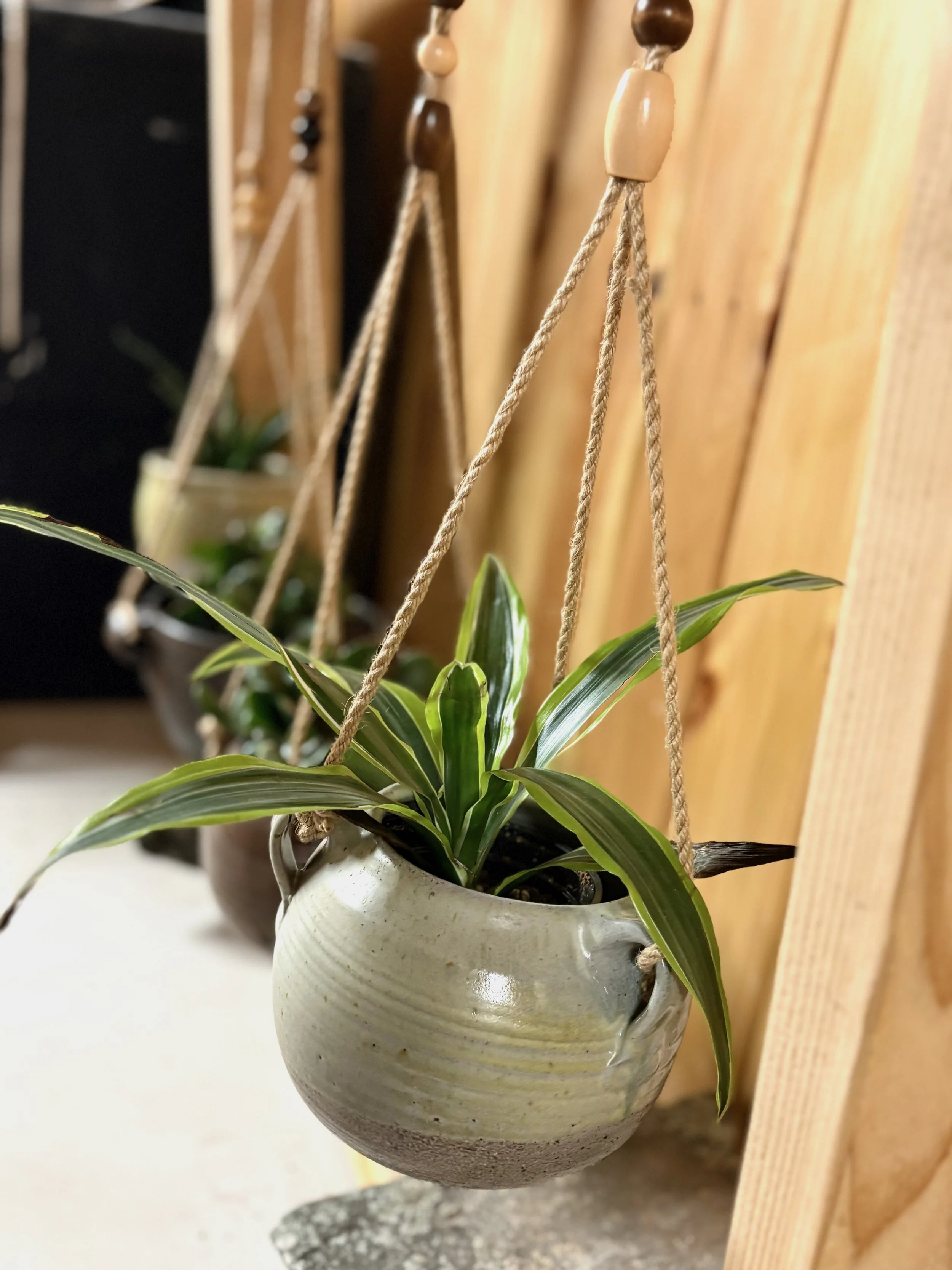 Hanging planter .jpg