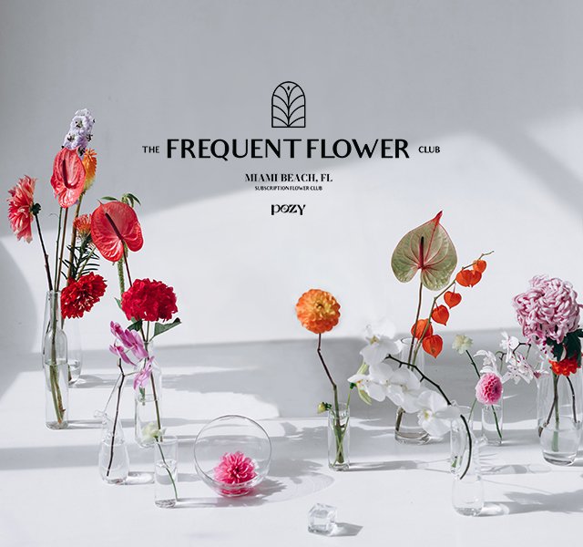 FFC Image 1 640 x 600.jpg