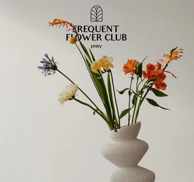 FFC Image 2 640 x 600.jpg