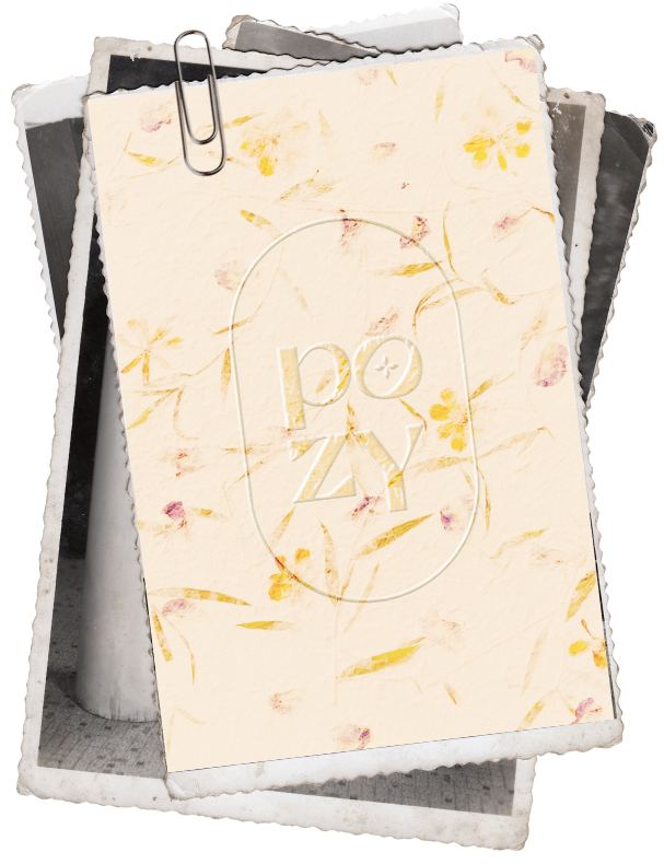 branding showcase stack.png