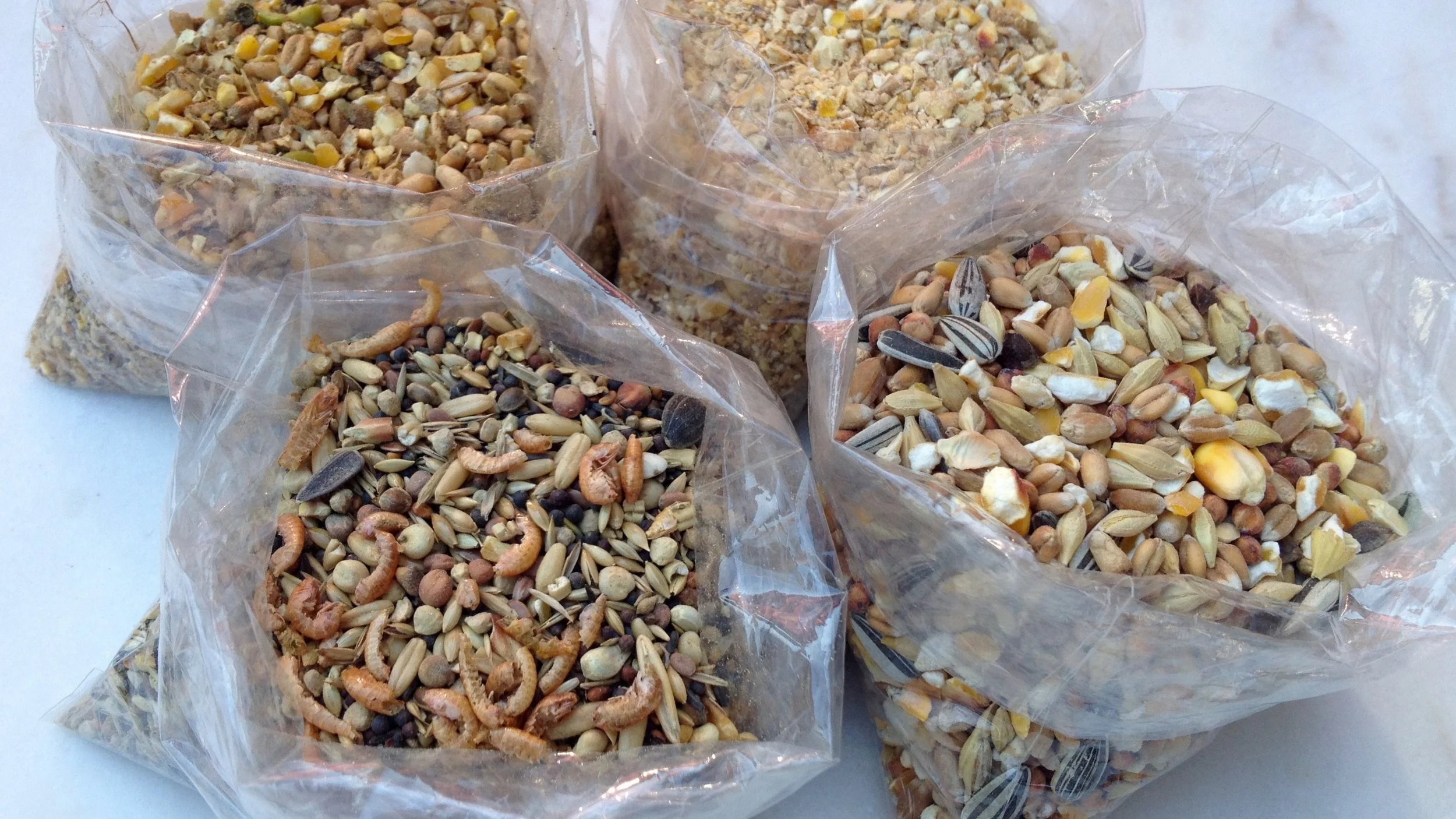 Bags and Tags at shadydale equestrian center