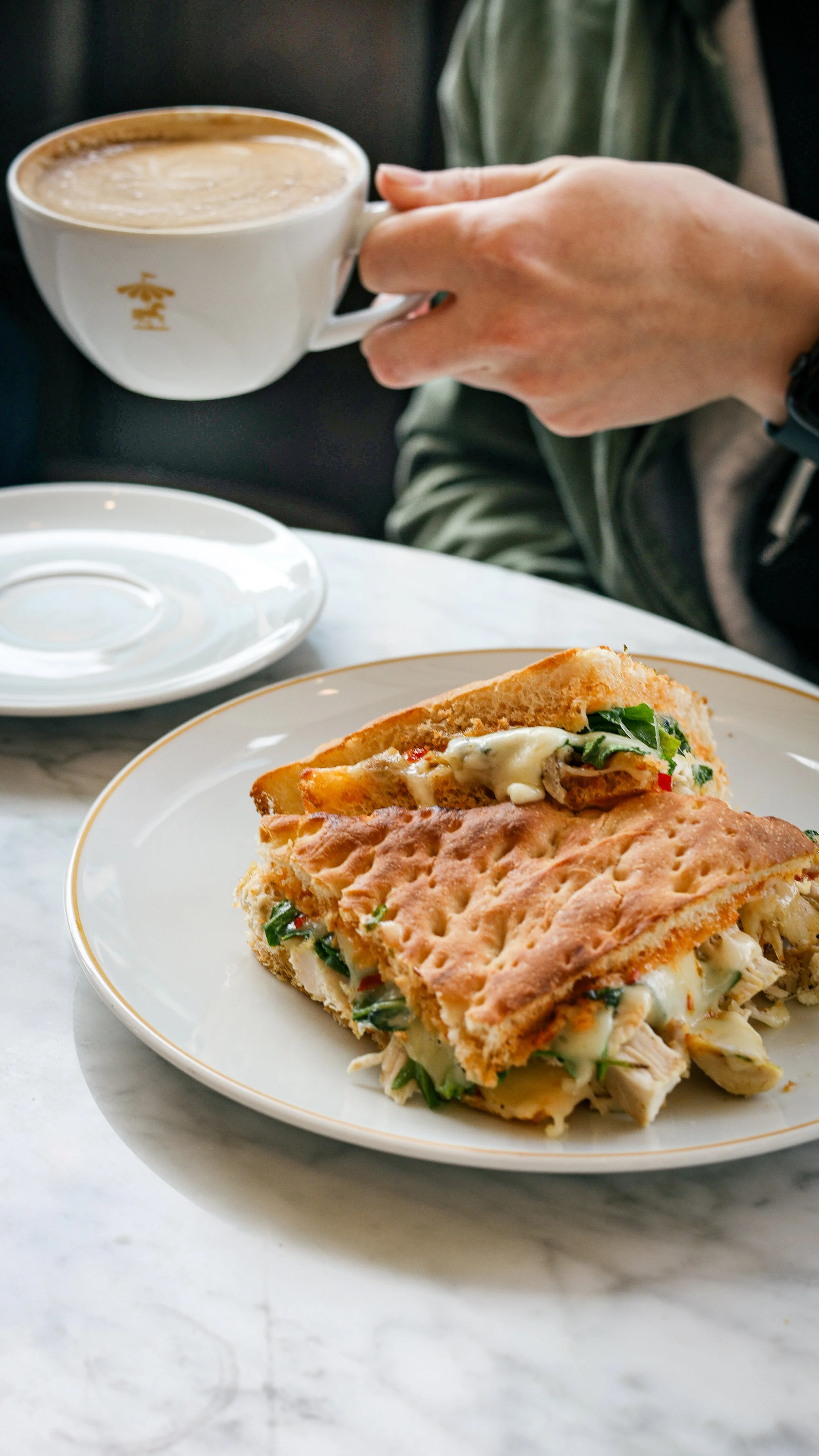 Roast Chicken Panino 2.jpeg