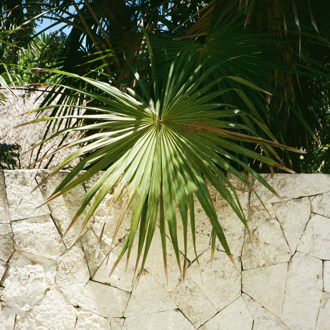 Untitled design (7).png