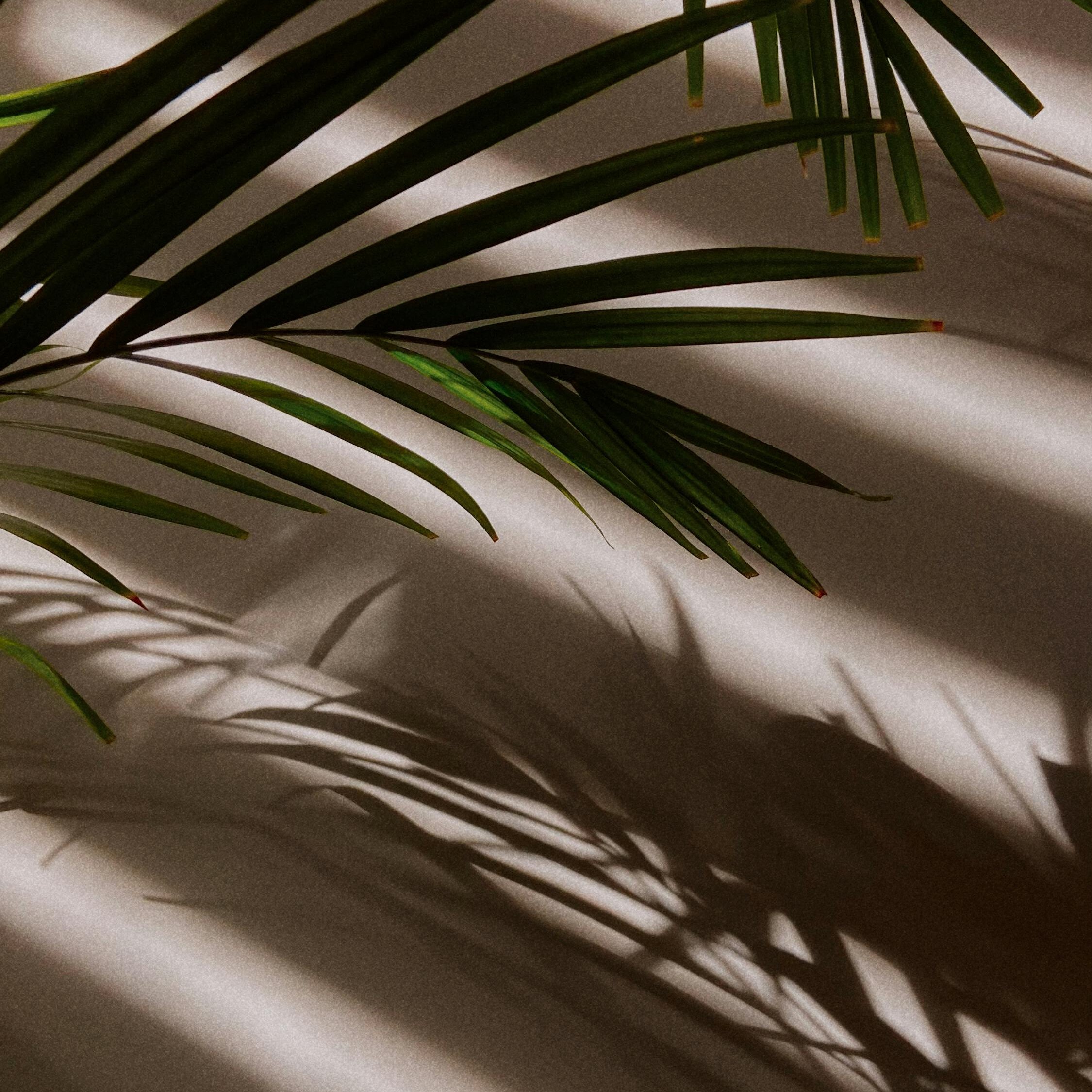 Influencer Starter Kit