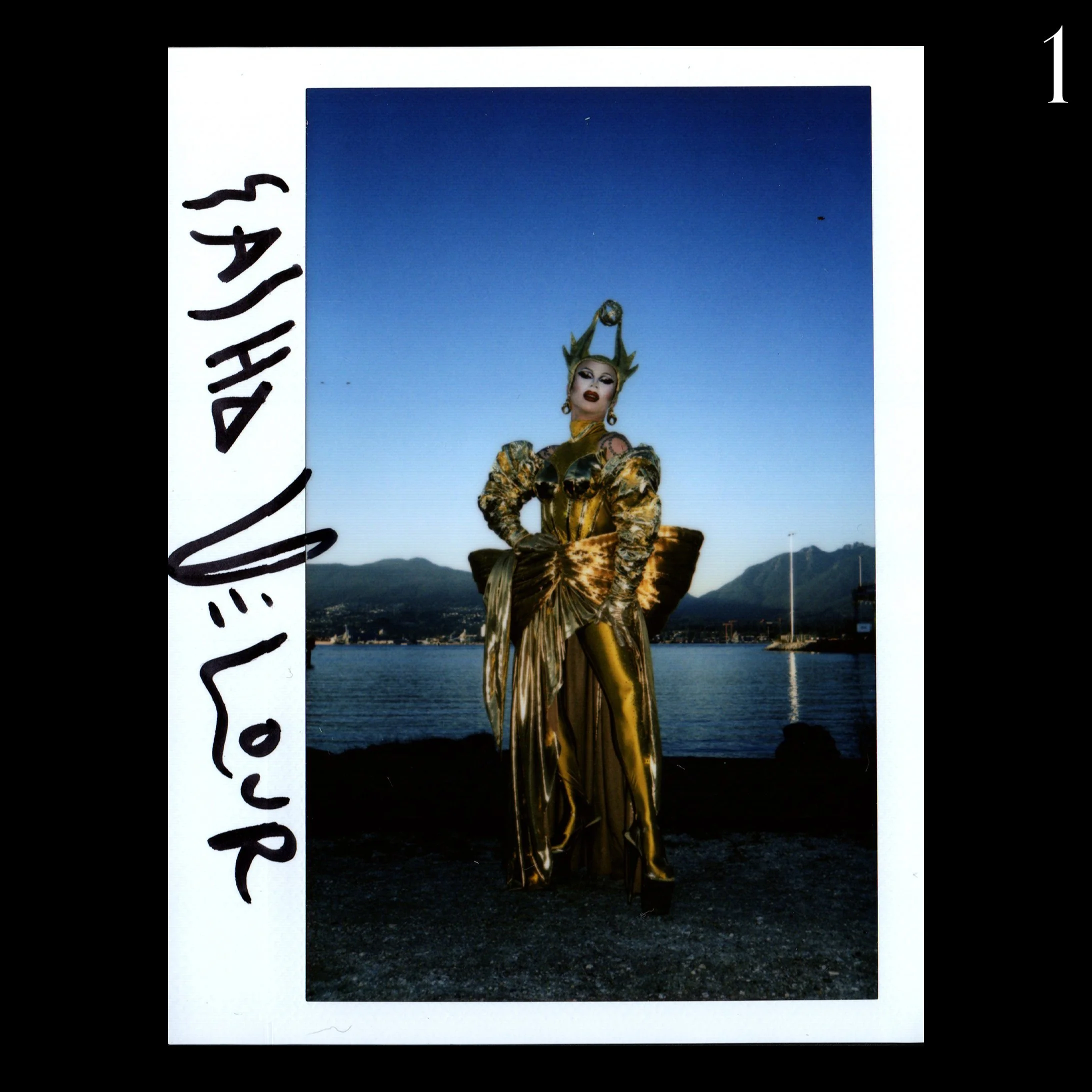 SashaVelourGold_0001.jpg