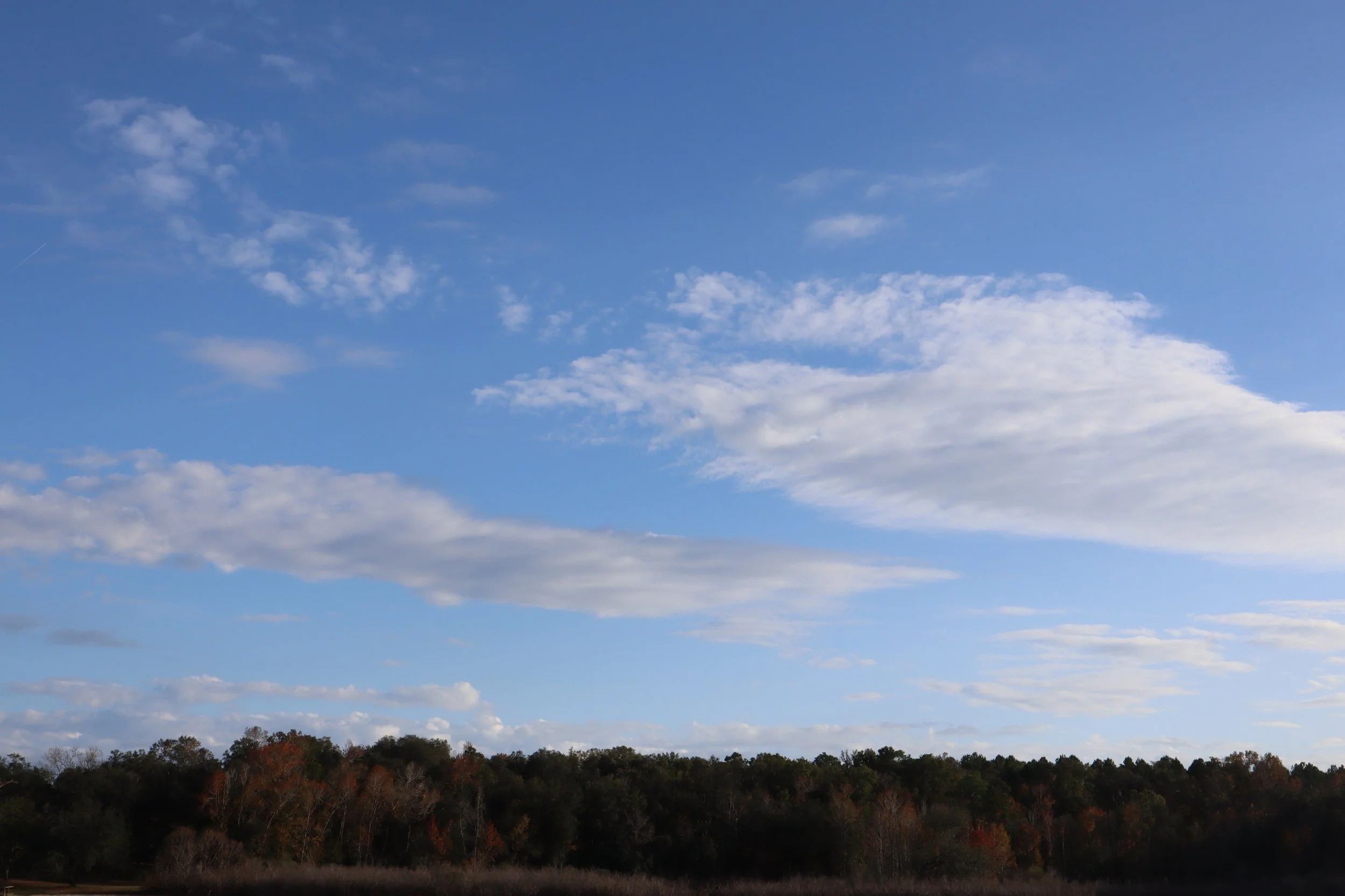 West Florida Baptist Association