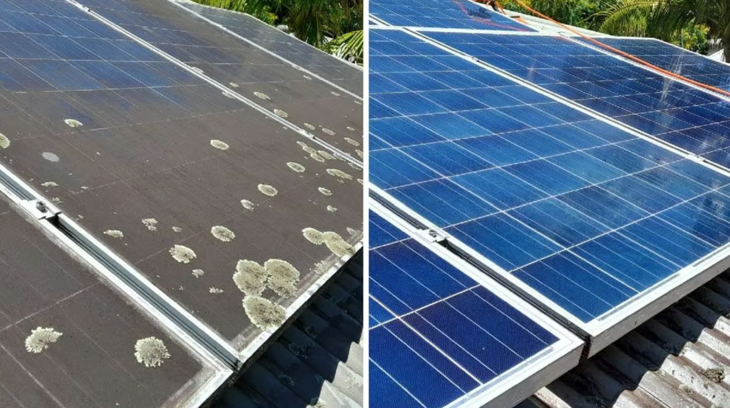 Screenshot 2025-01-17 154618.png