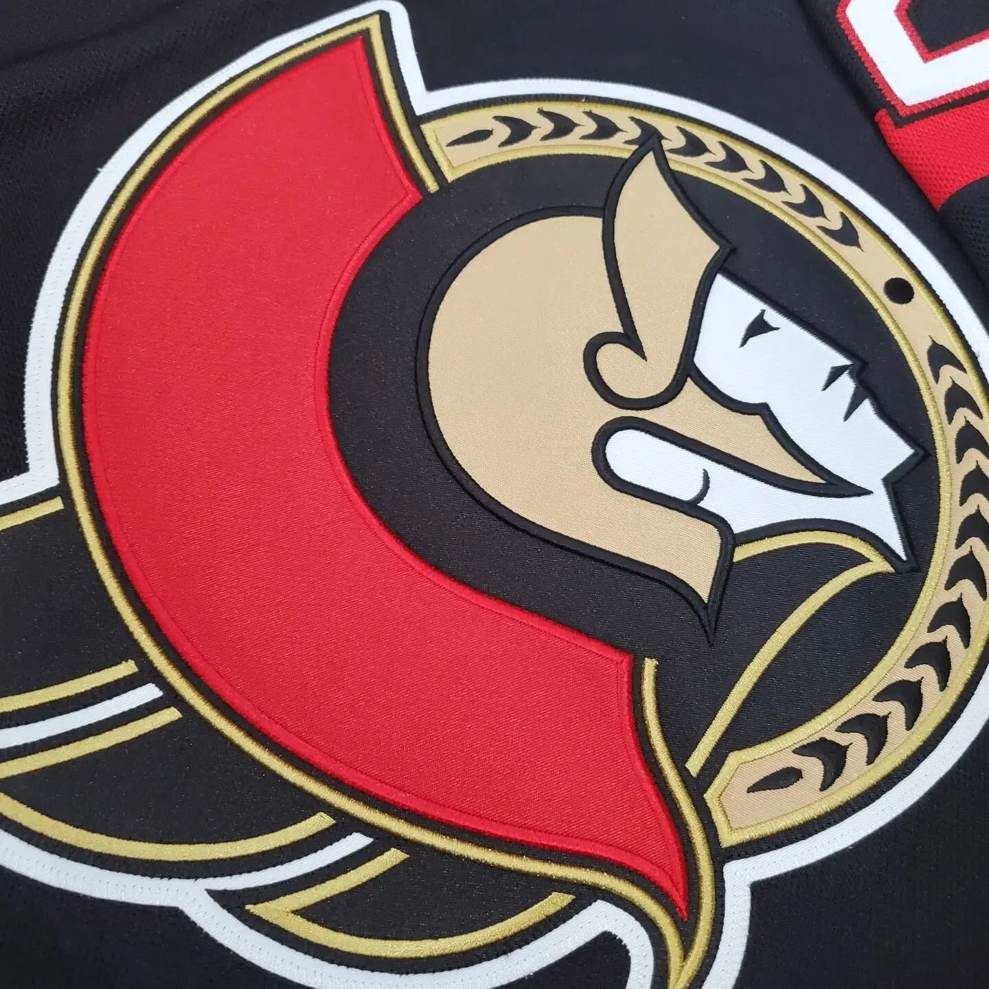 It's a real shame the Sens are out for the season, but what a future they have. Nice to finally see it. 
Full custo by First Line 😎
#hockey #hockeyjersey #nhl #needleandthread #hockeylife #hockeycollector #customized #yow #yowbusiness #ottawasmall