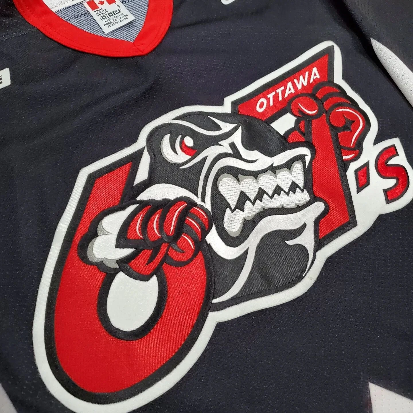 I was beyond excited when this customer reached out asking if I could customize this jersey. It is one of my favourite jerseys. The logos are just pure hockey and I've always loved them. 
Super stoked I was able to put it together for them. Designin