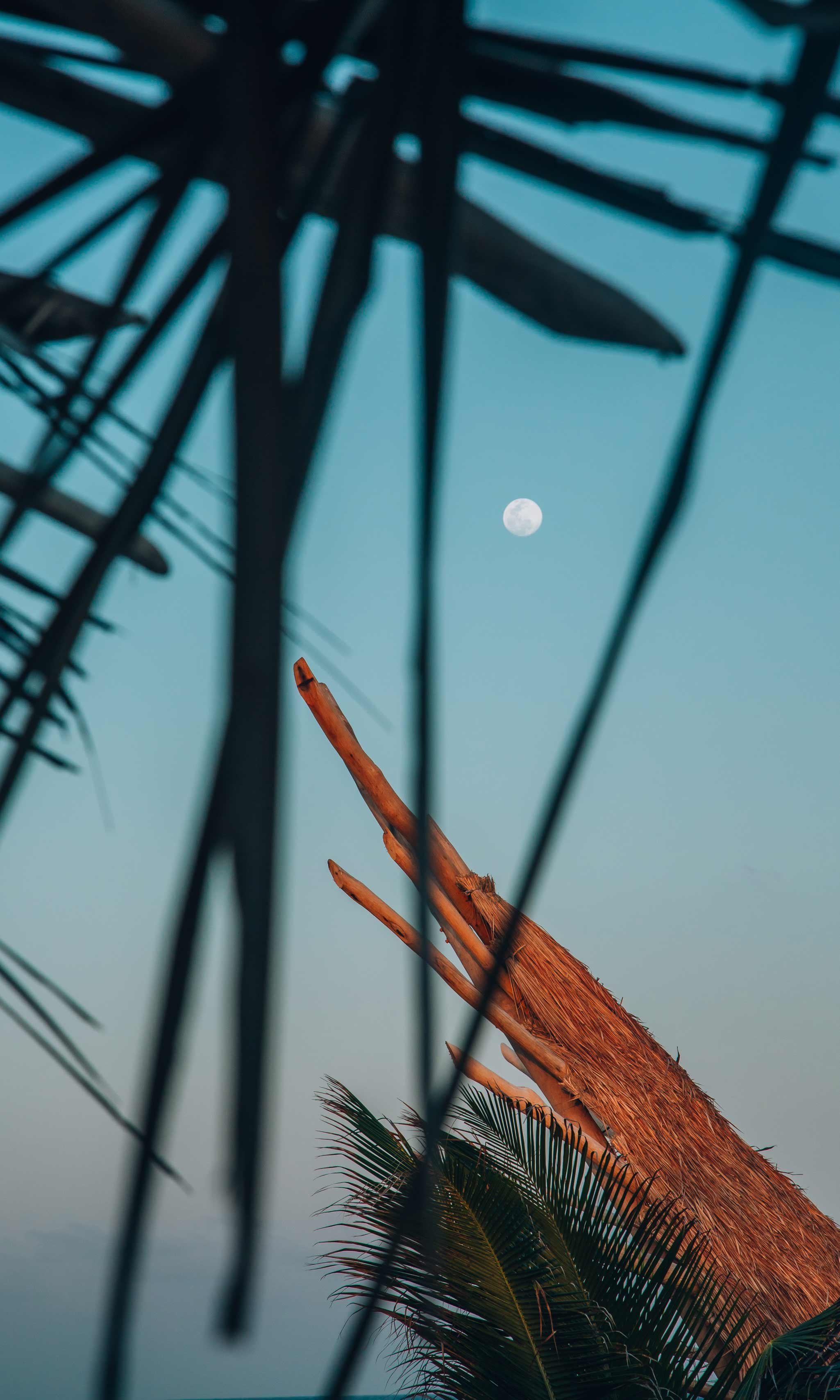 Moon in the sky over Medicine wheel Tulum