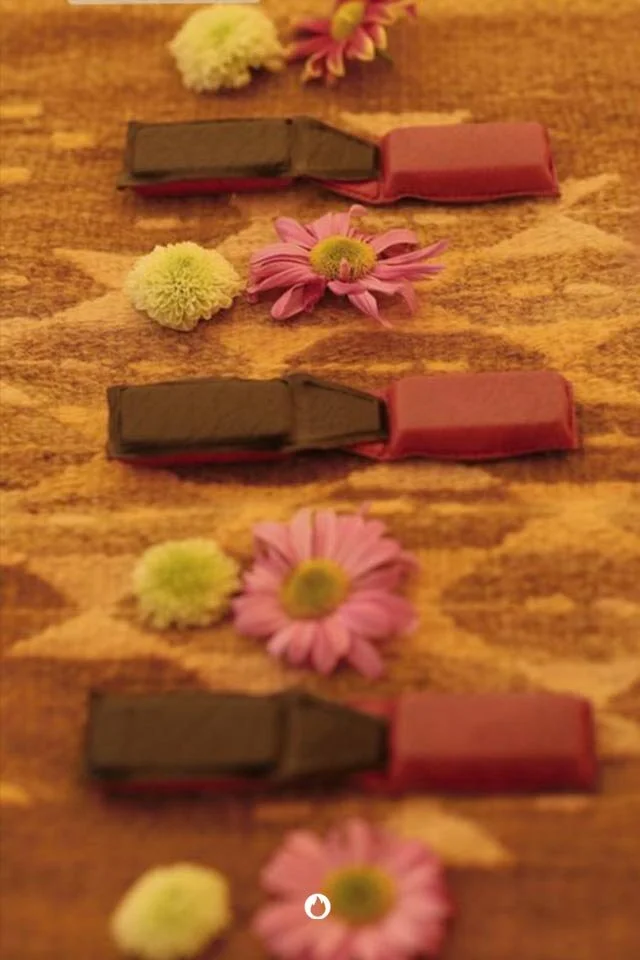 BioMagnetism Reset Tulum