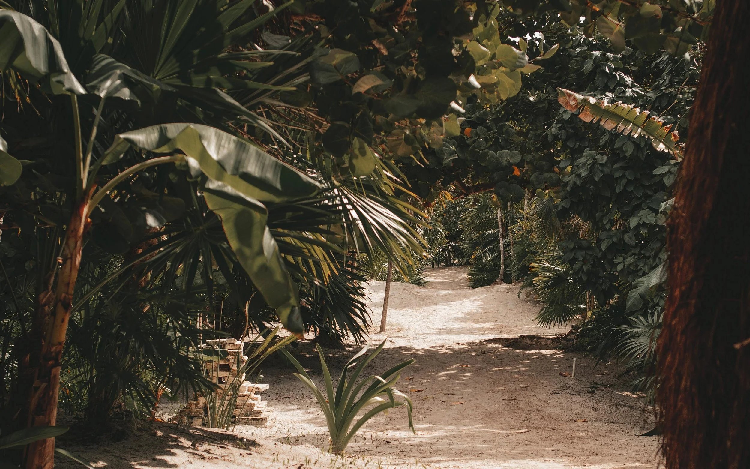 tulum retreats.jpg