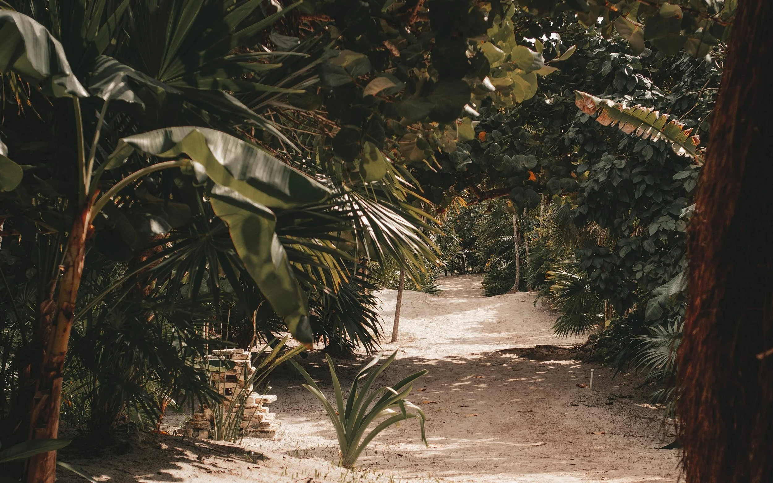 Honoring the Spirits of the Past