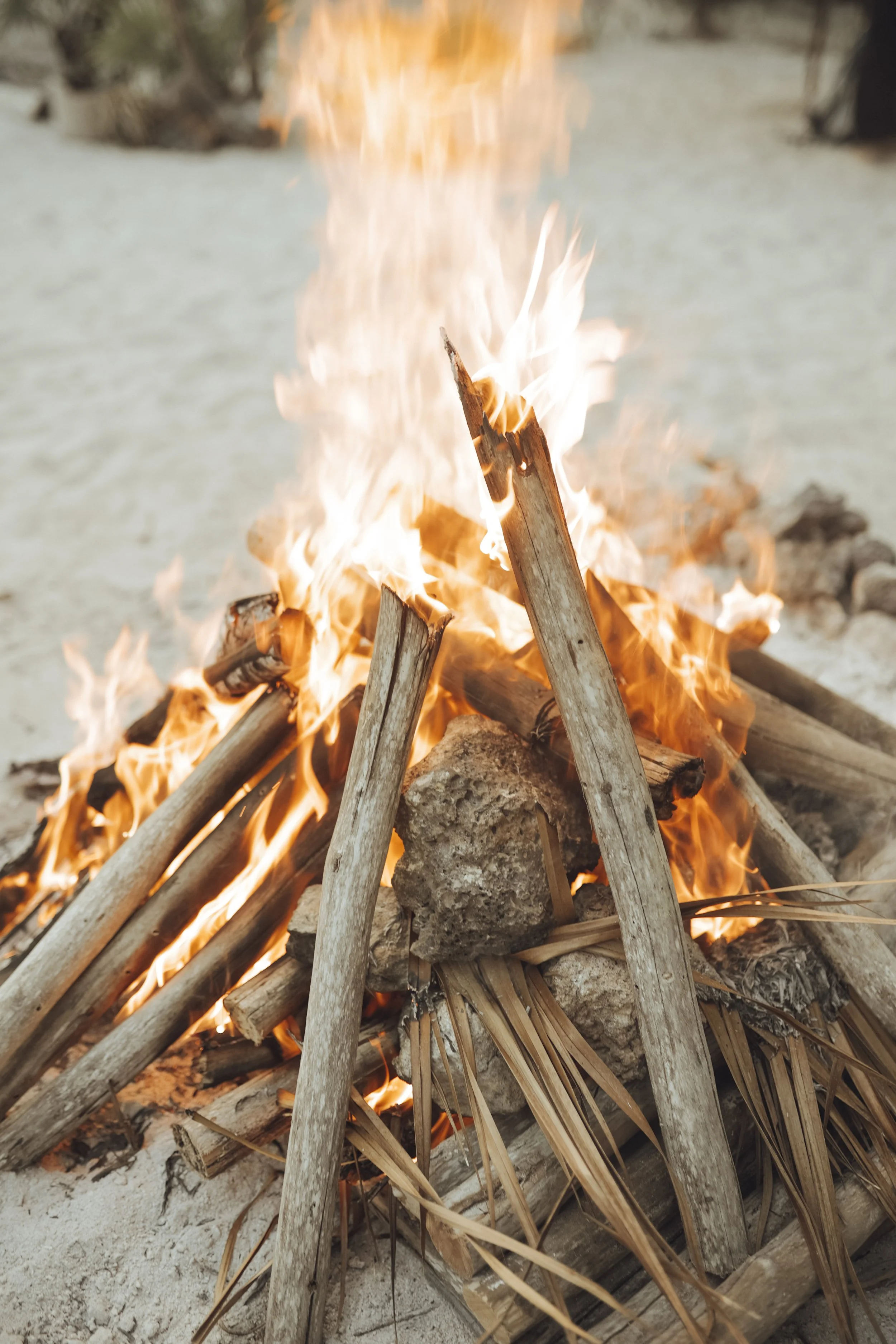 Tulum Temazcal.jpg