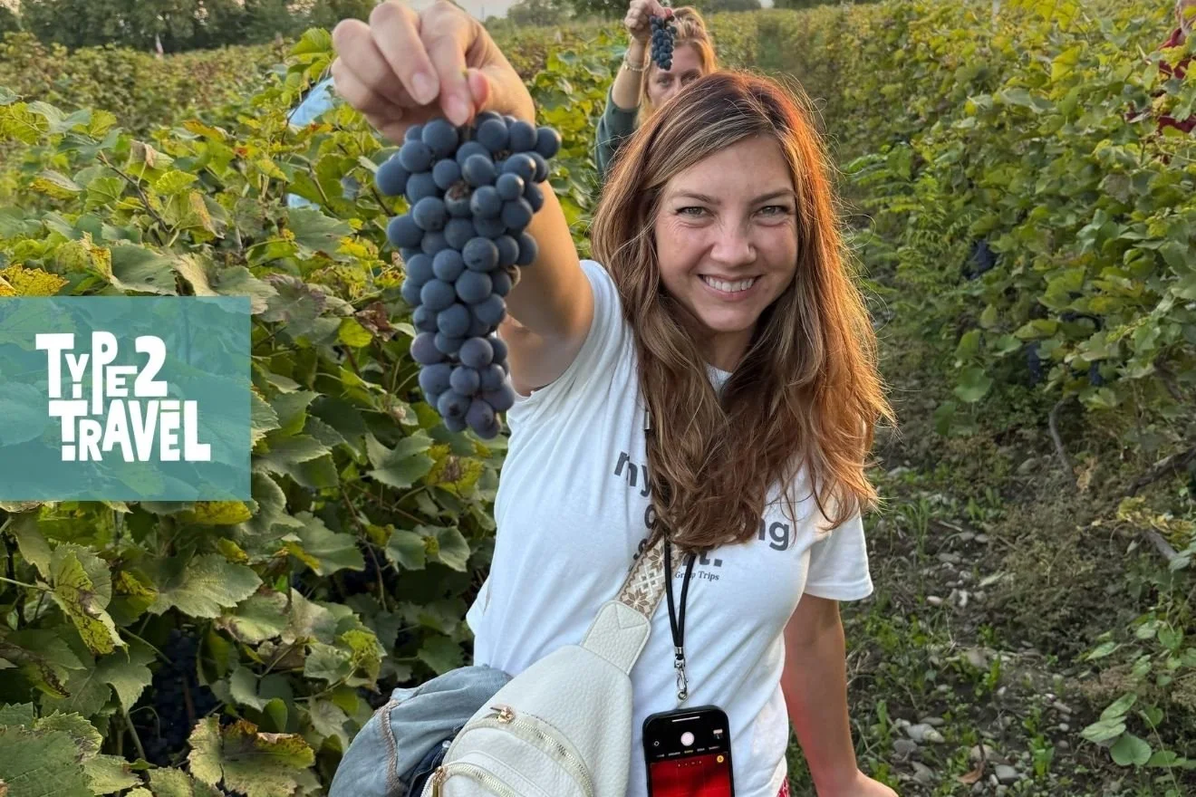 Woman smiling and holding up bunch of dark grapes in vineyard at sunset with Type 2 Travel podcast logo