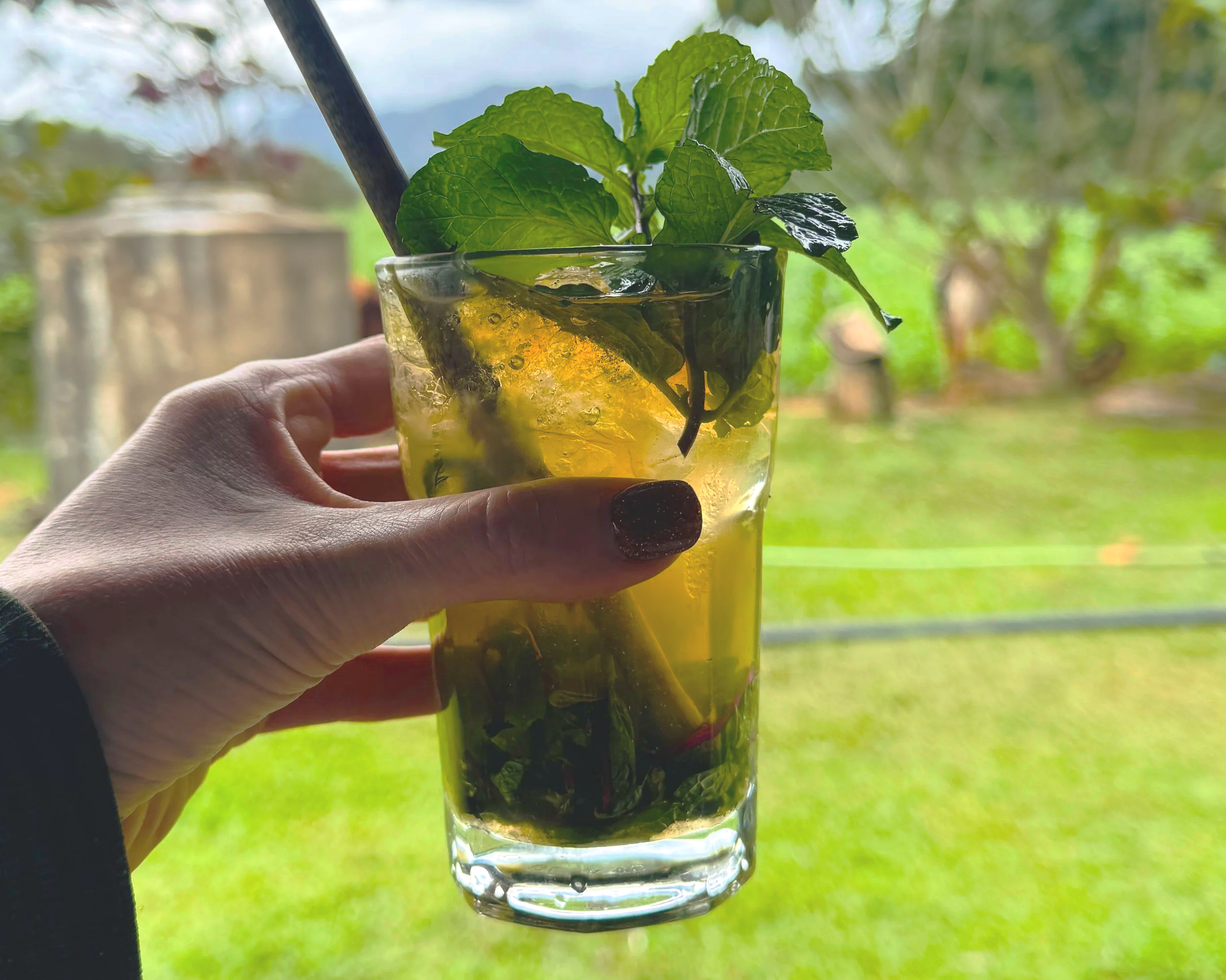 A fresh cancháchara in Viñales, Cuba
