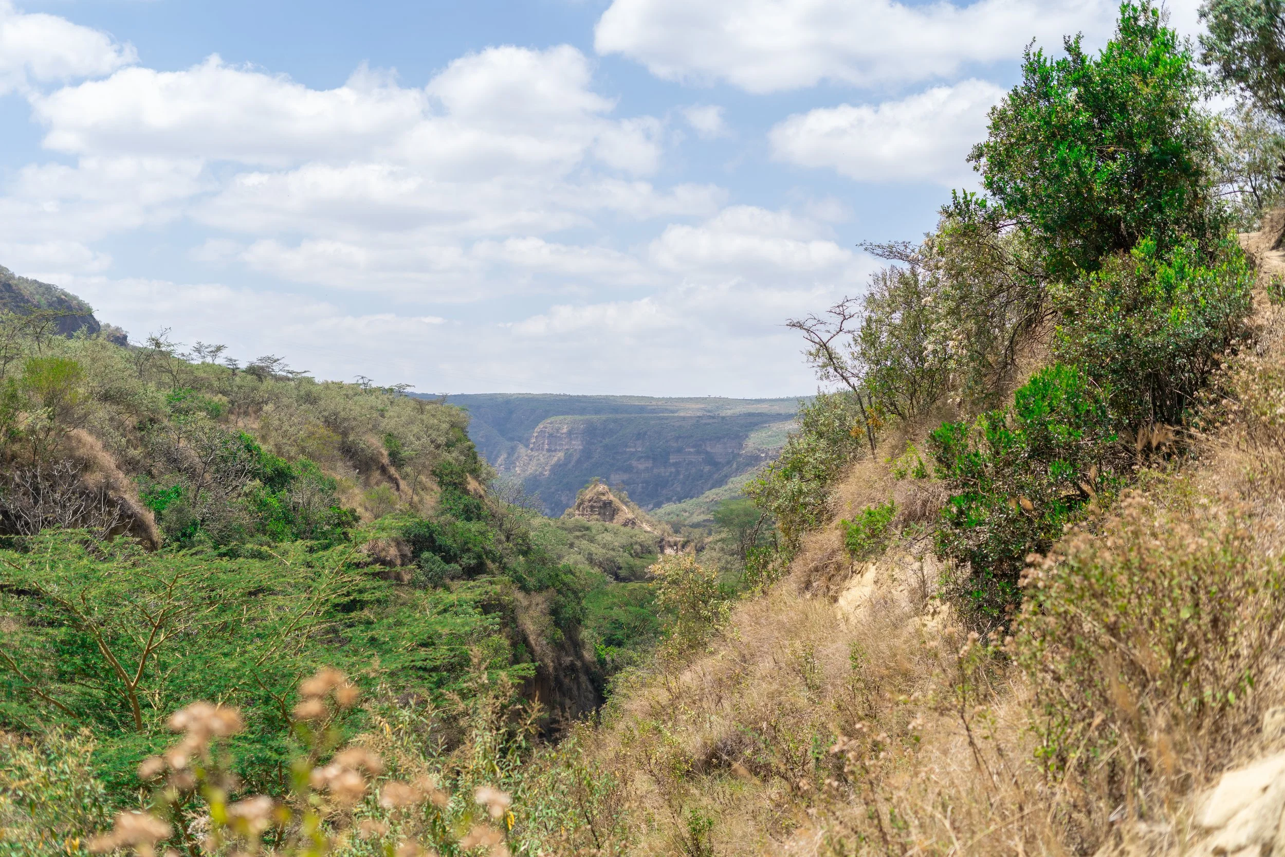 Greenwashing in Tourism And How to Spot Fake 'Sustainable' Travel Companies