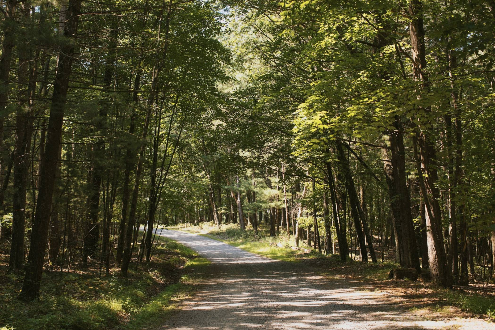 Midwest Summer Bucket List: Eau Claire, WI + Beyond